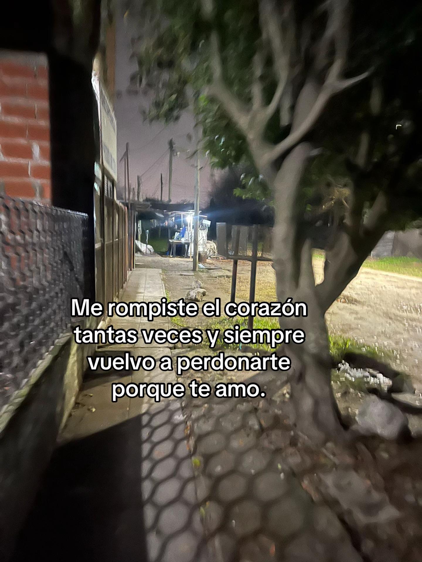@maiaantonella11