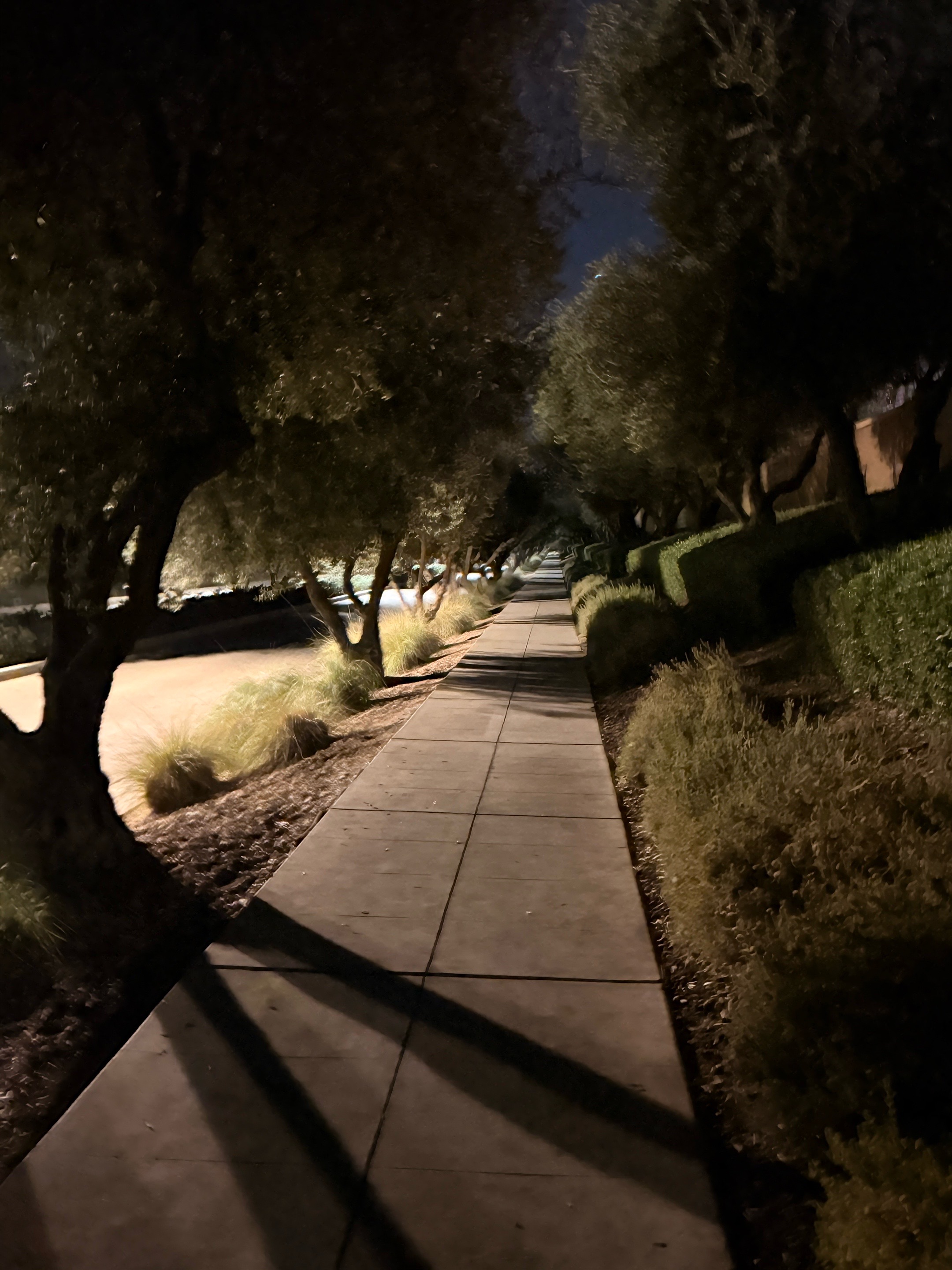 @𝓝𝓪𝓽𝓮