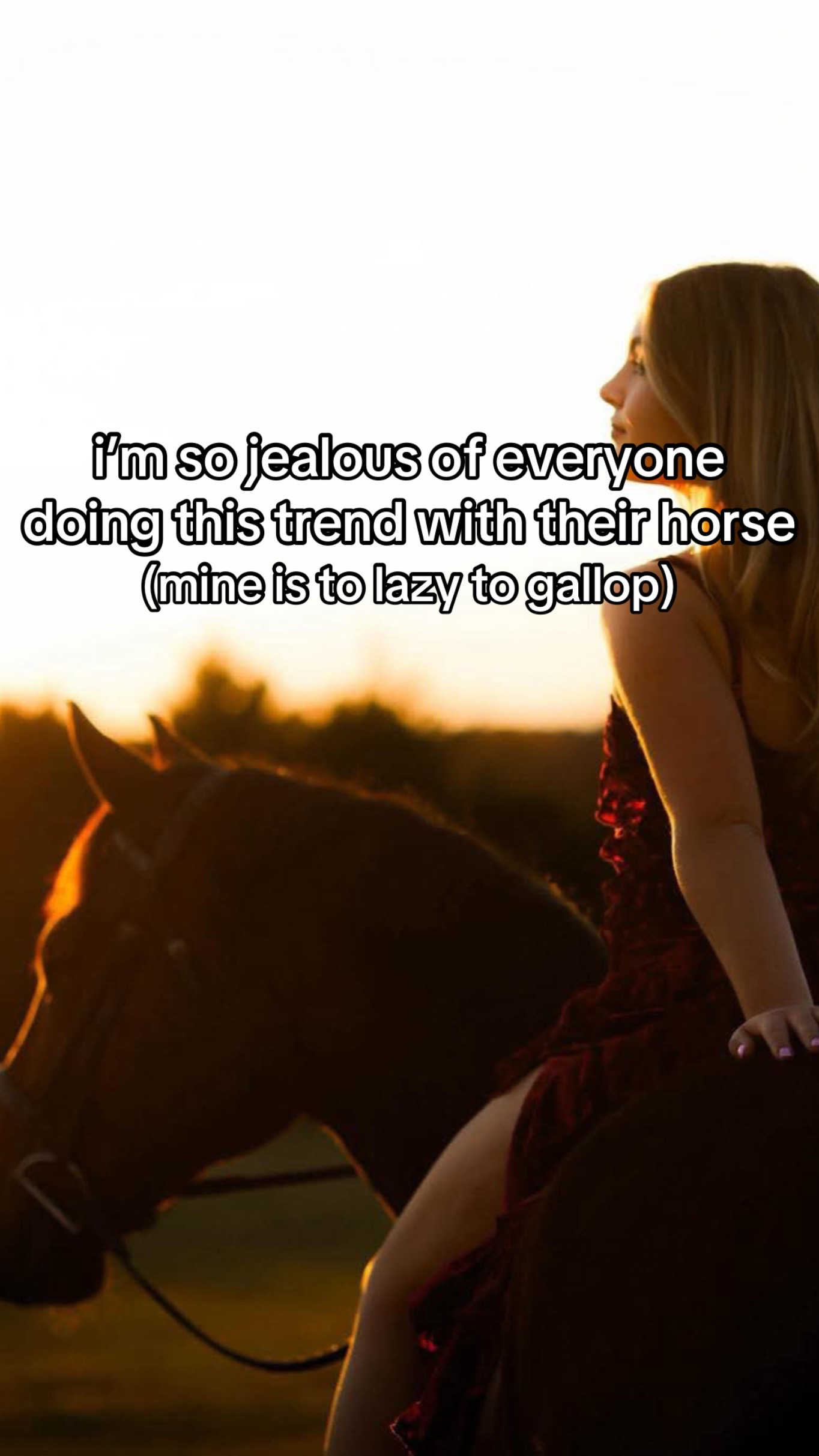 @caitlin folliard🤎🐴
