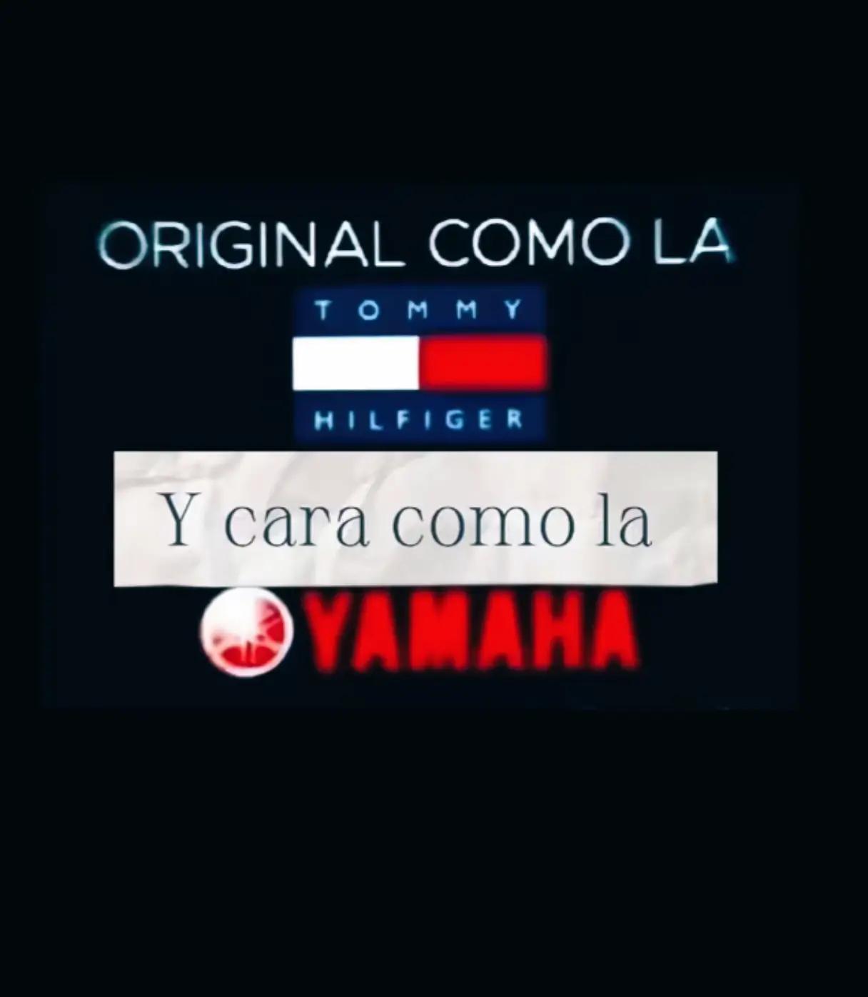 @salsa baul pal corazón✨