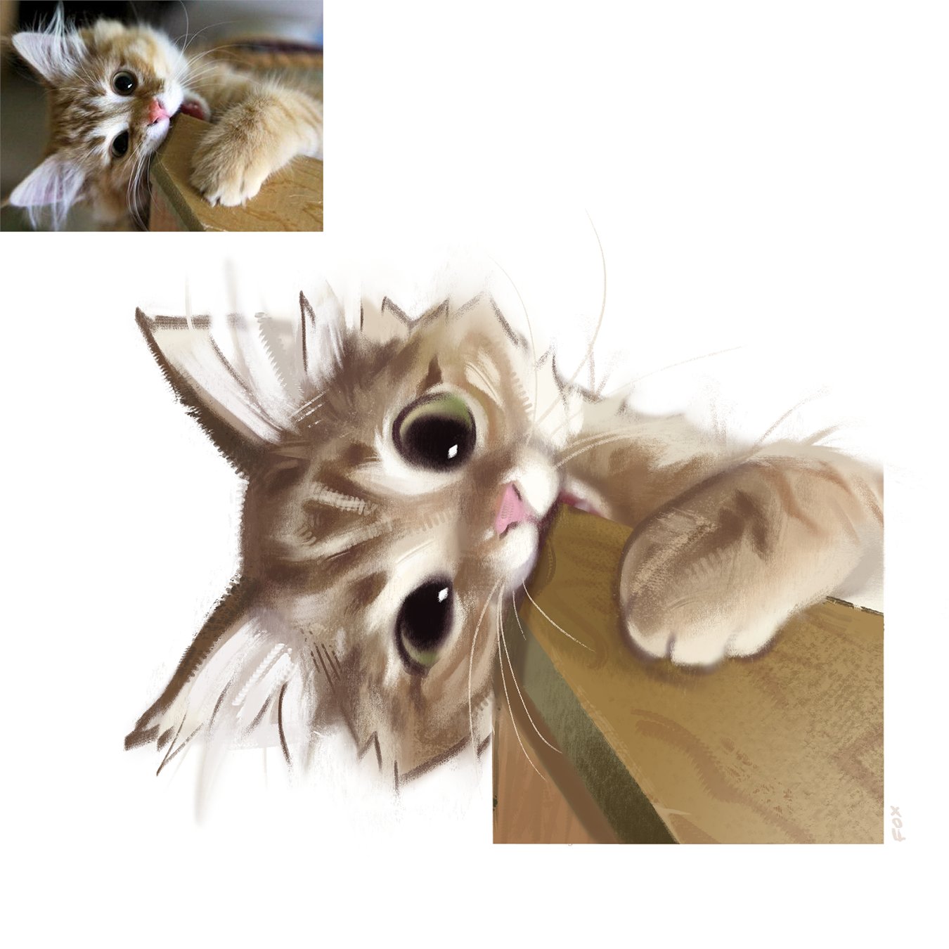 @oso peludo༼ つ ◕‿◕ ༽つ?