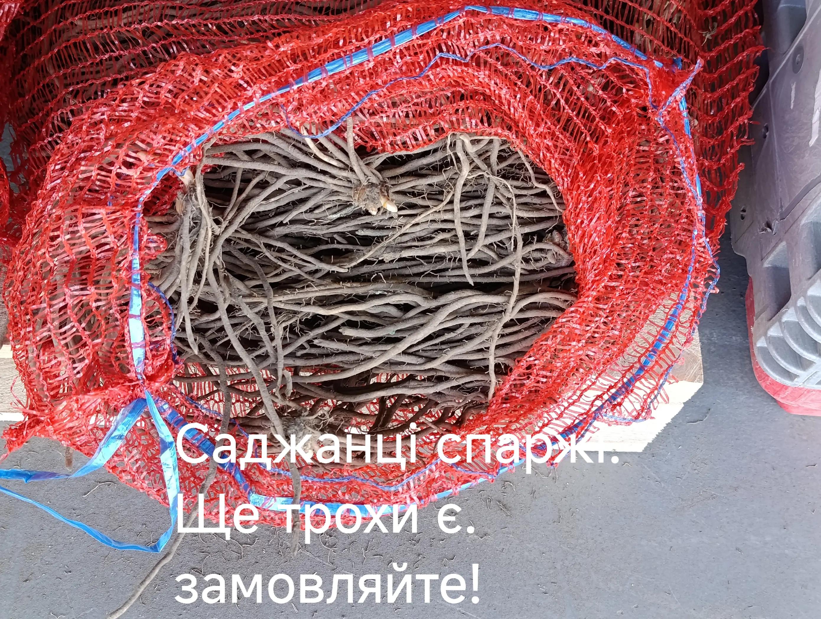 @Олег