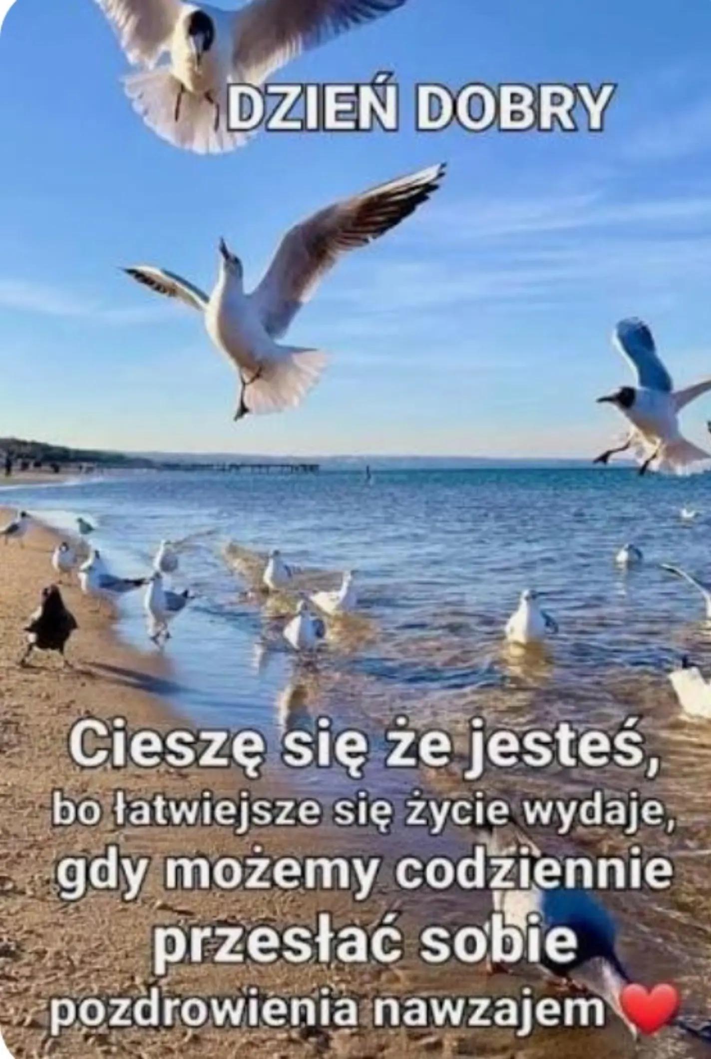 @💞Małgoś💞