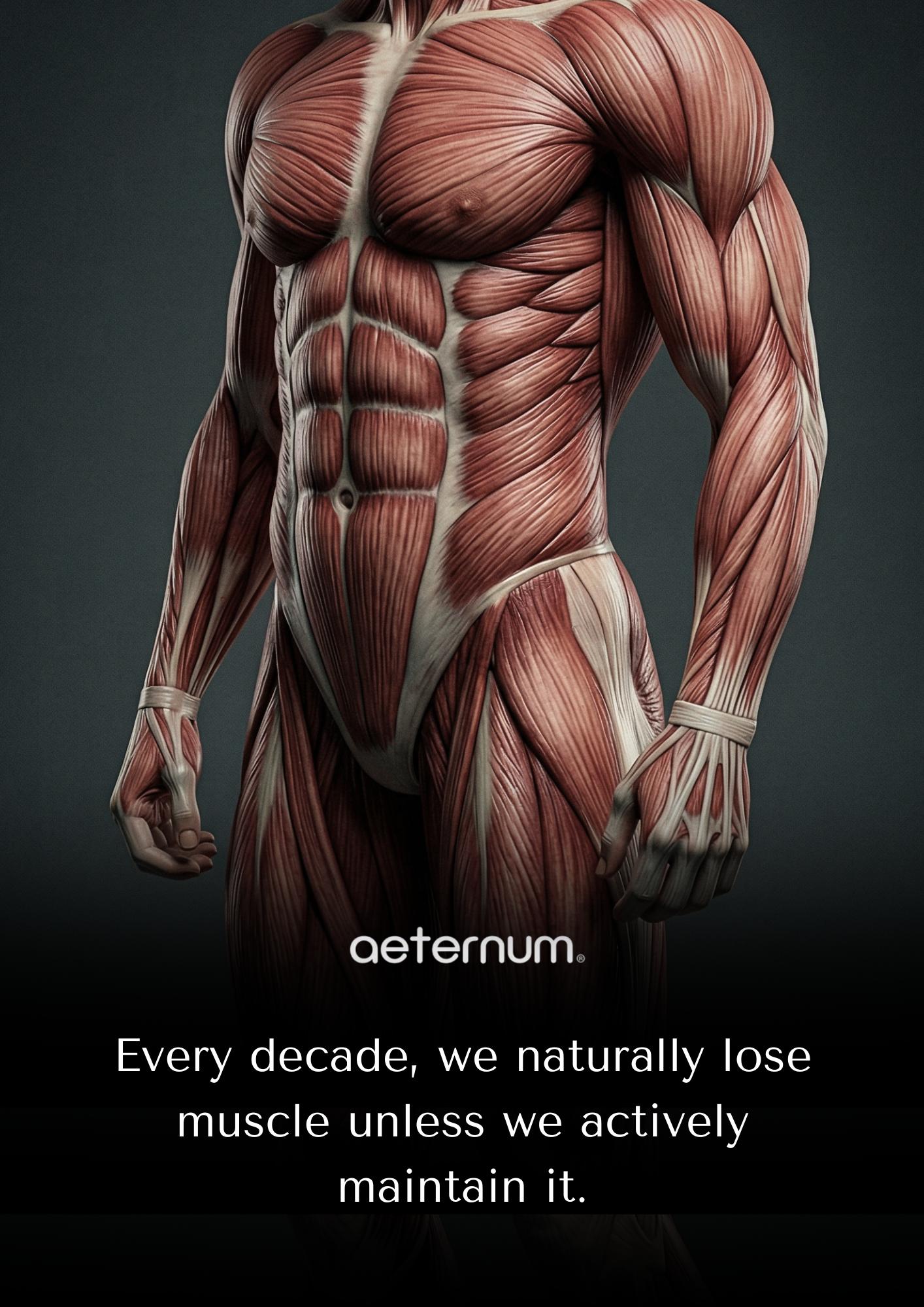 @Aeternum®
