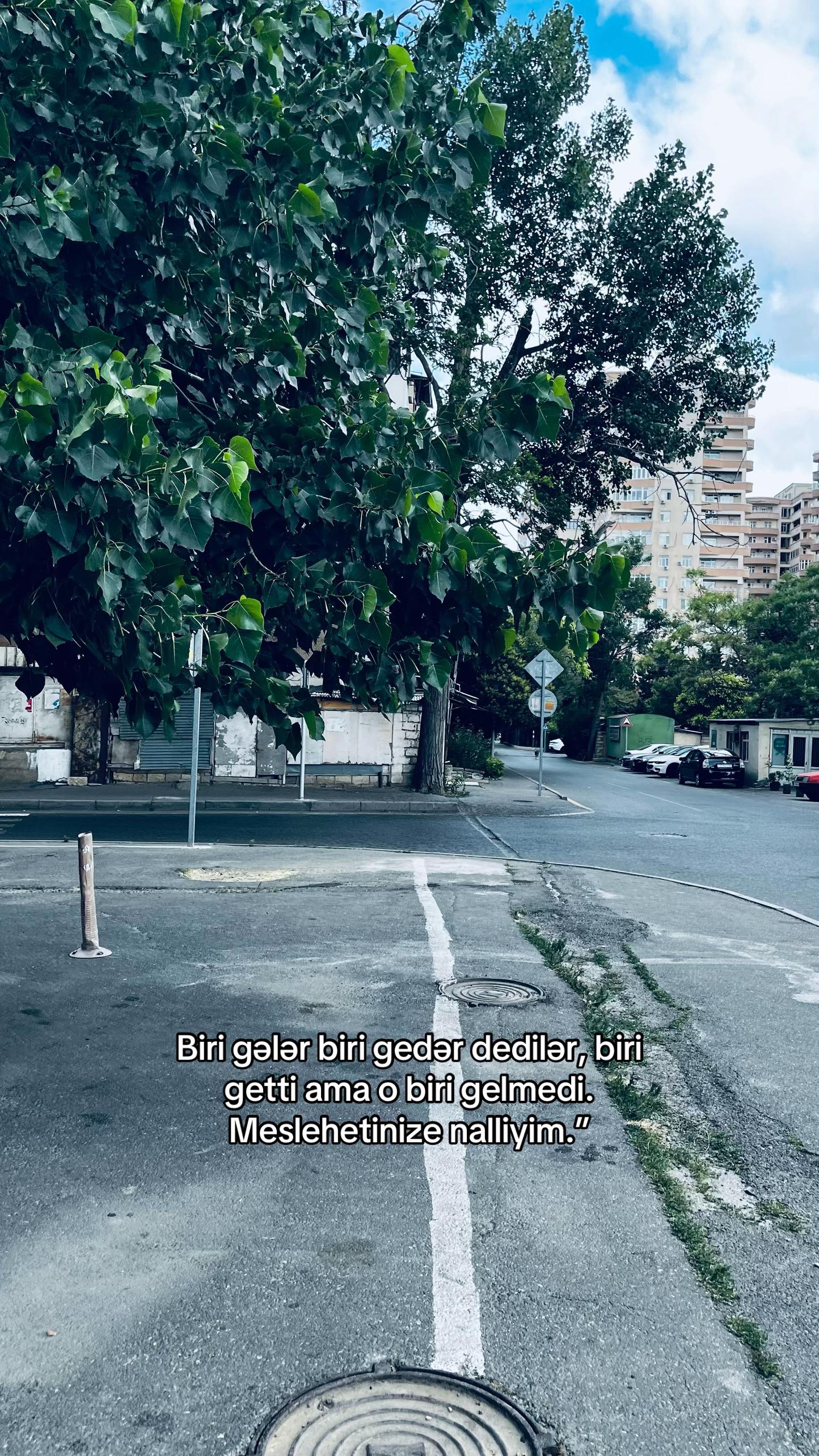 @Necesen xanım?