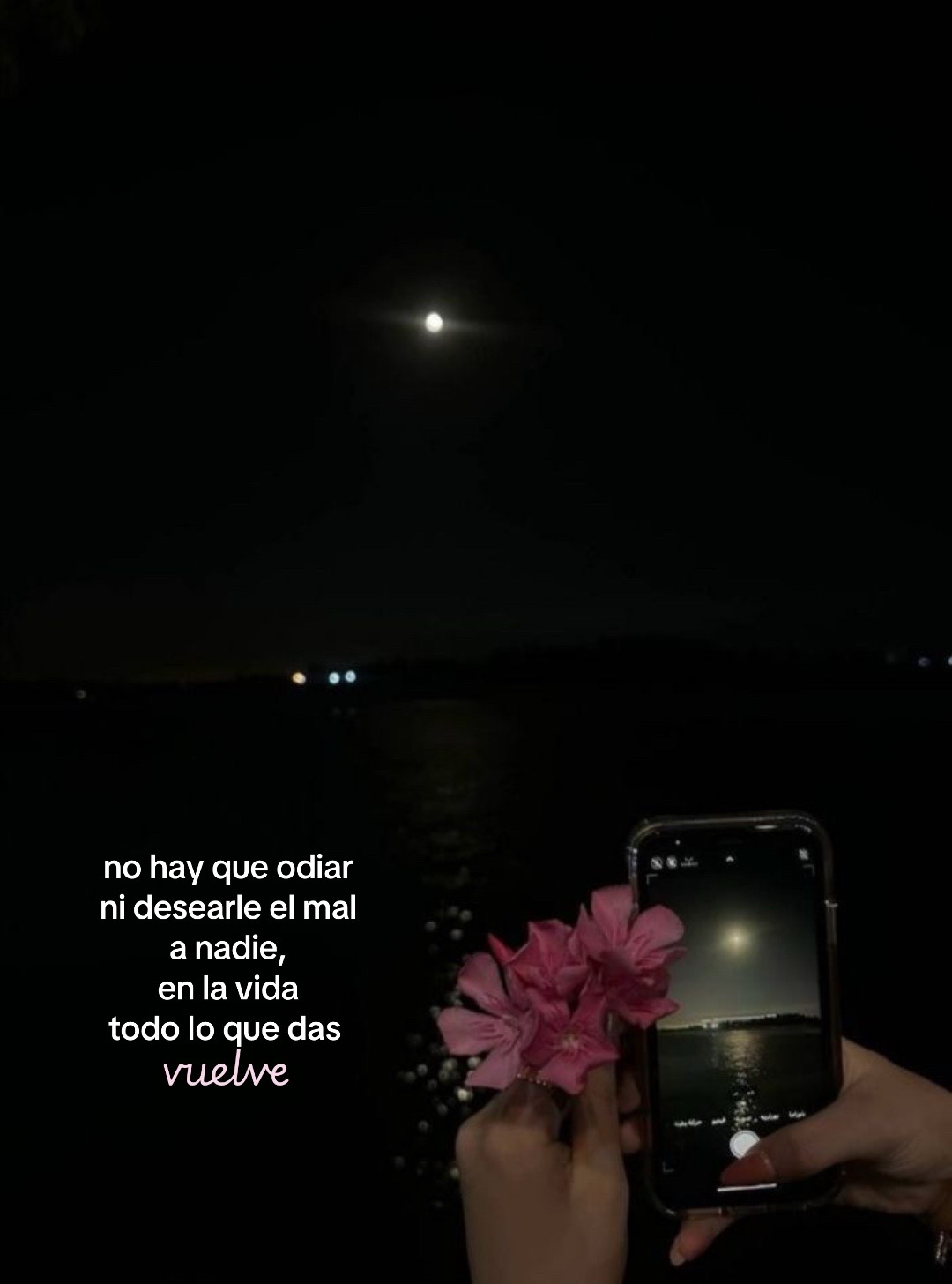 @alexis🪷