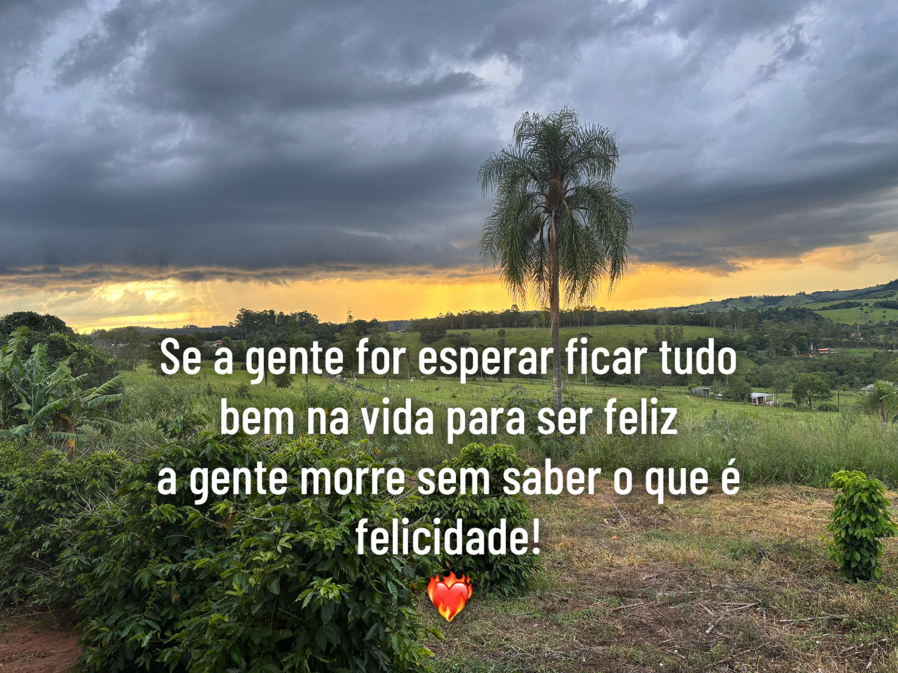 @Adriele Caldeira