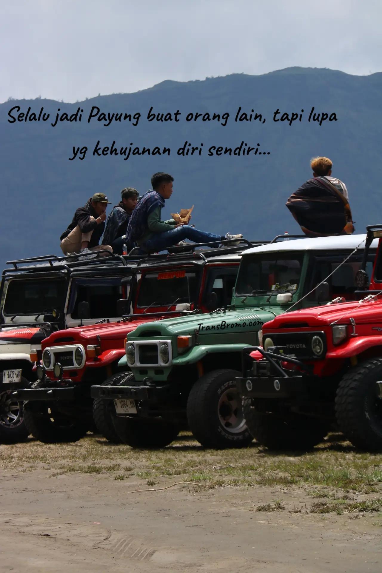 @transbromo
