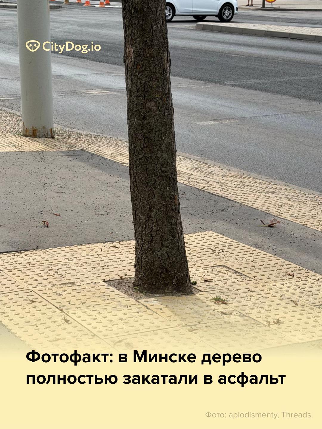 @CityDogby журнал о Минске