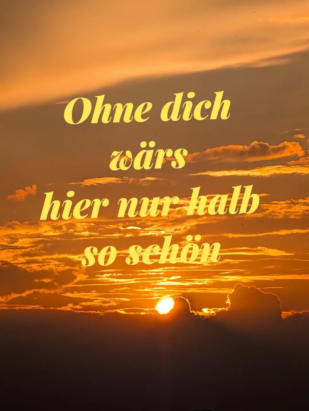 @seanf514🇩🇪