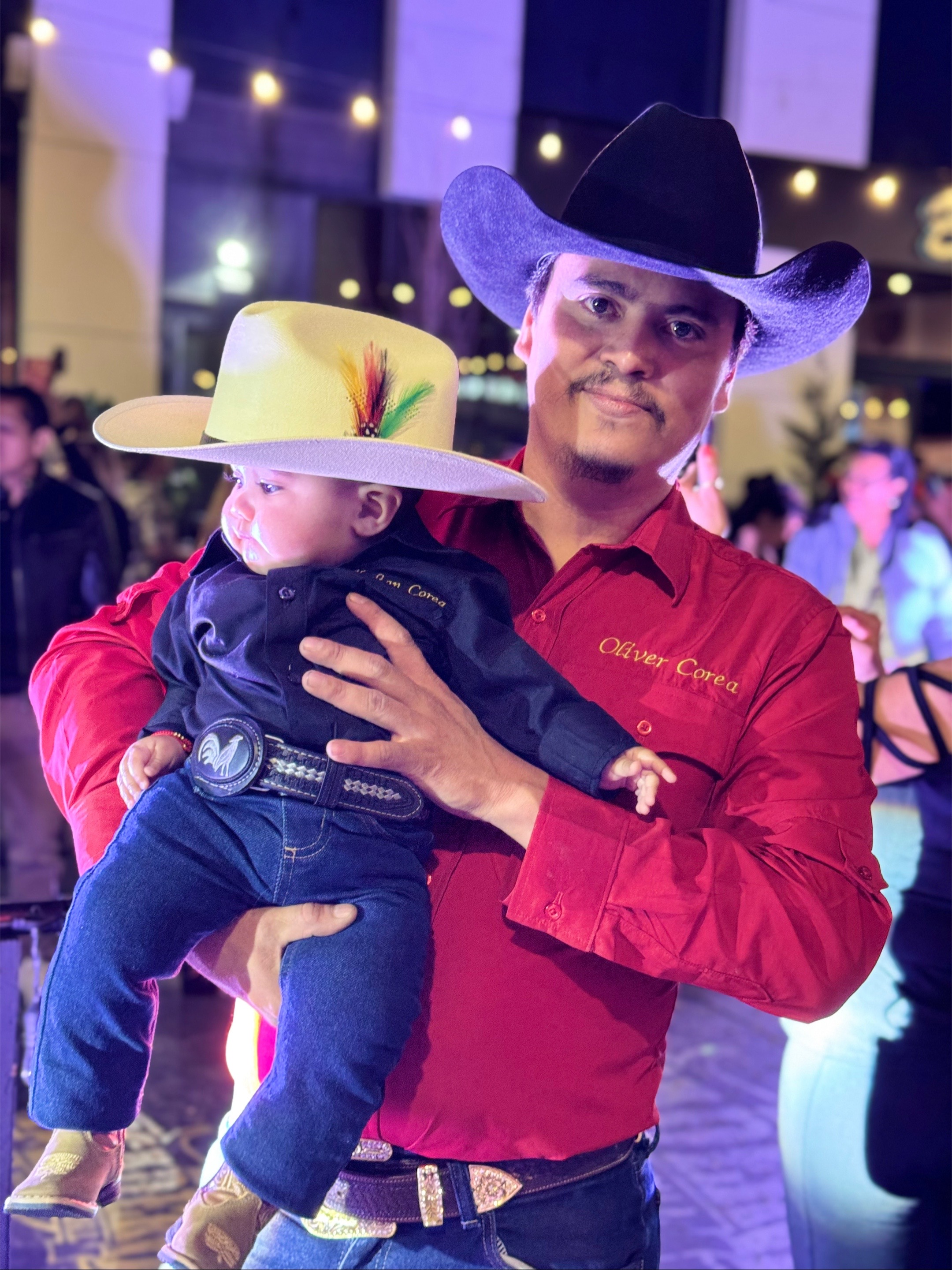 @Herraje de equinos