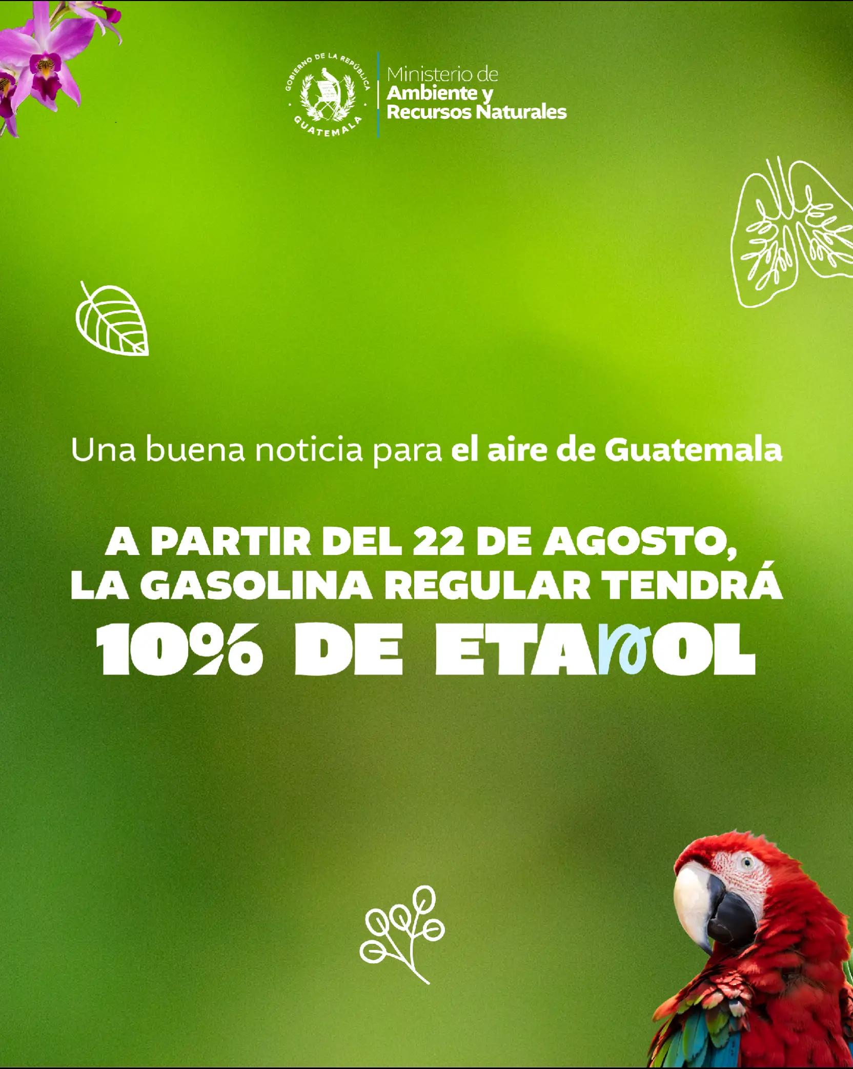 @Ministerio de Ambiente GT