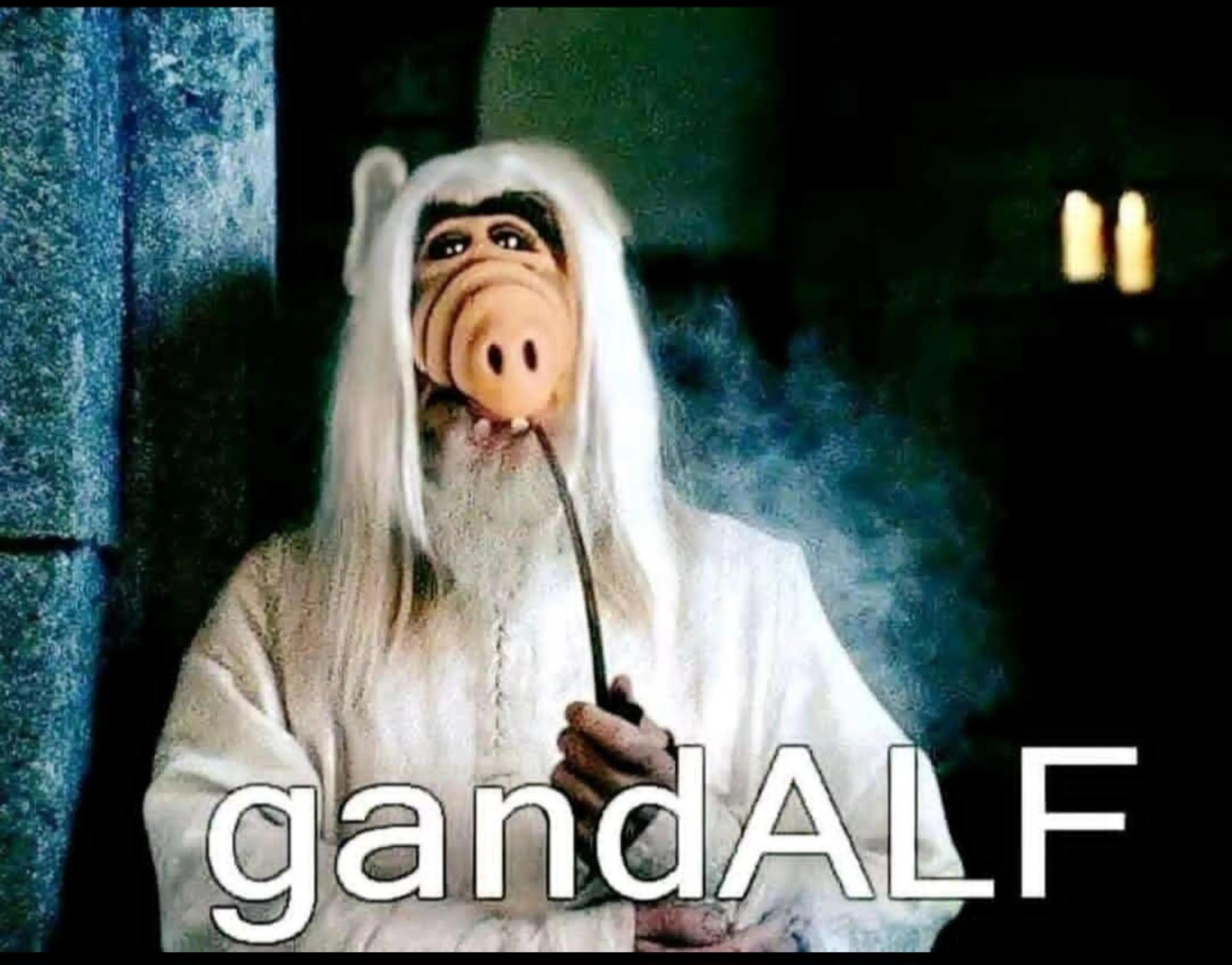 @Ruhepohl 🙏🏻🤪