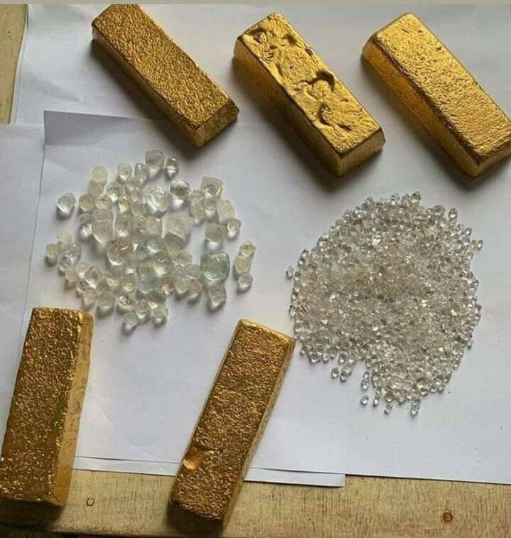 @SGT. SOFIA HARRISON _GOLD