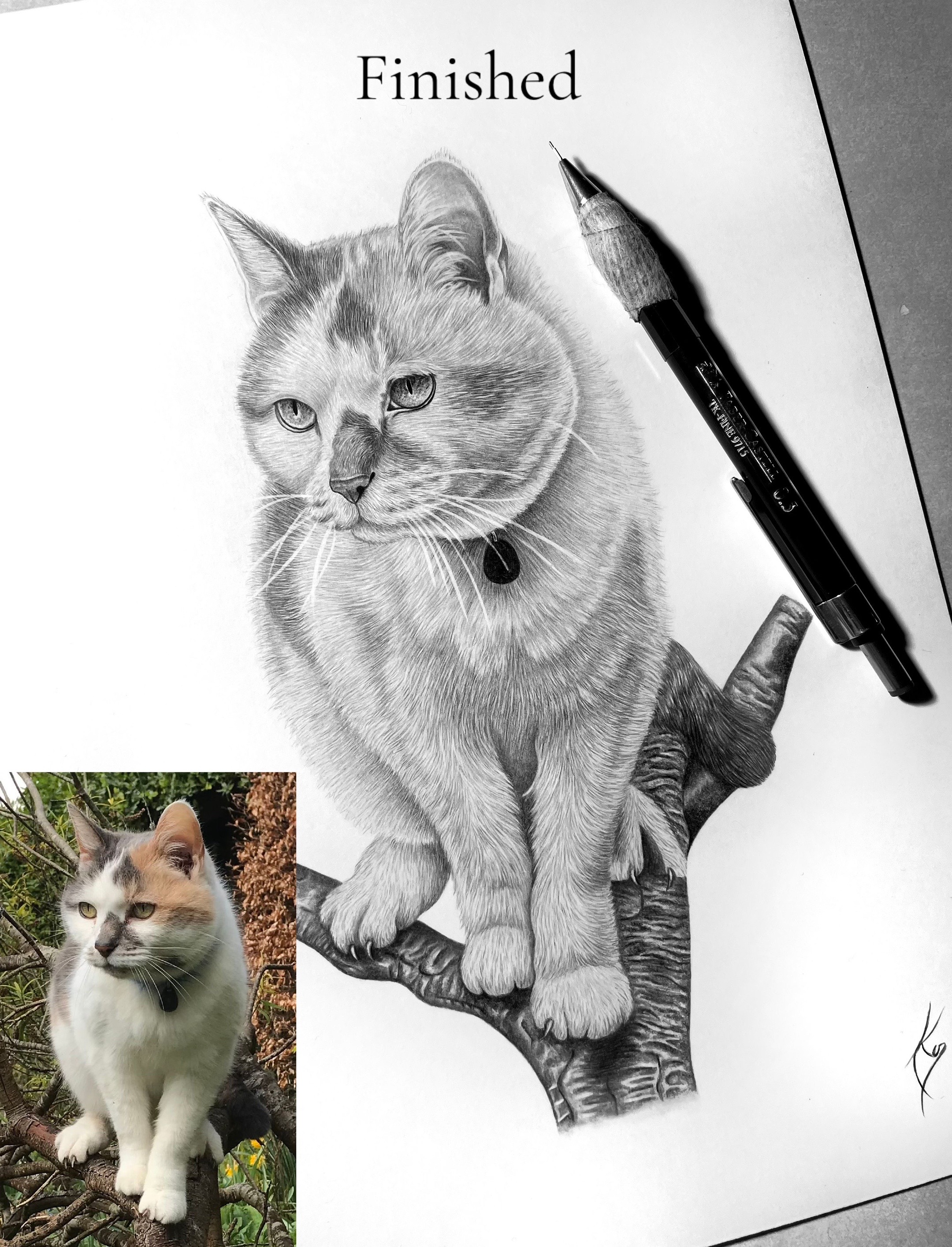 @petrakonecnaportrait
