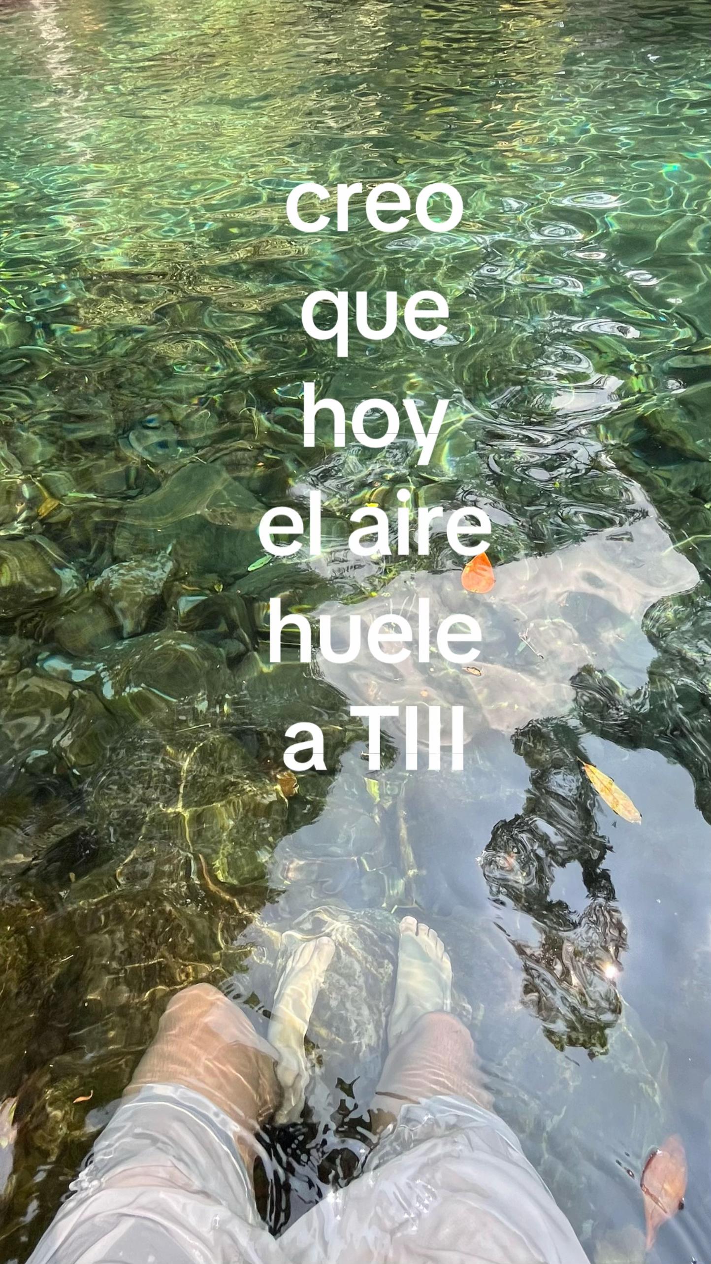 @suarezillo.mx