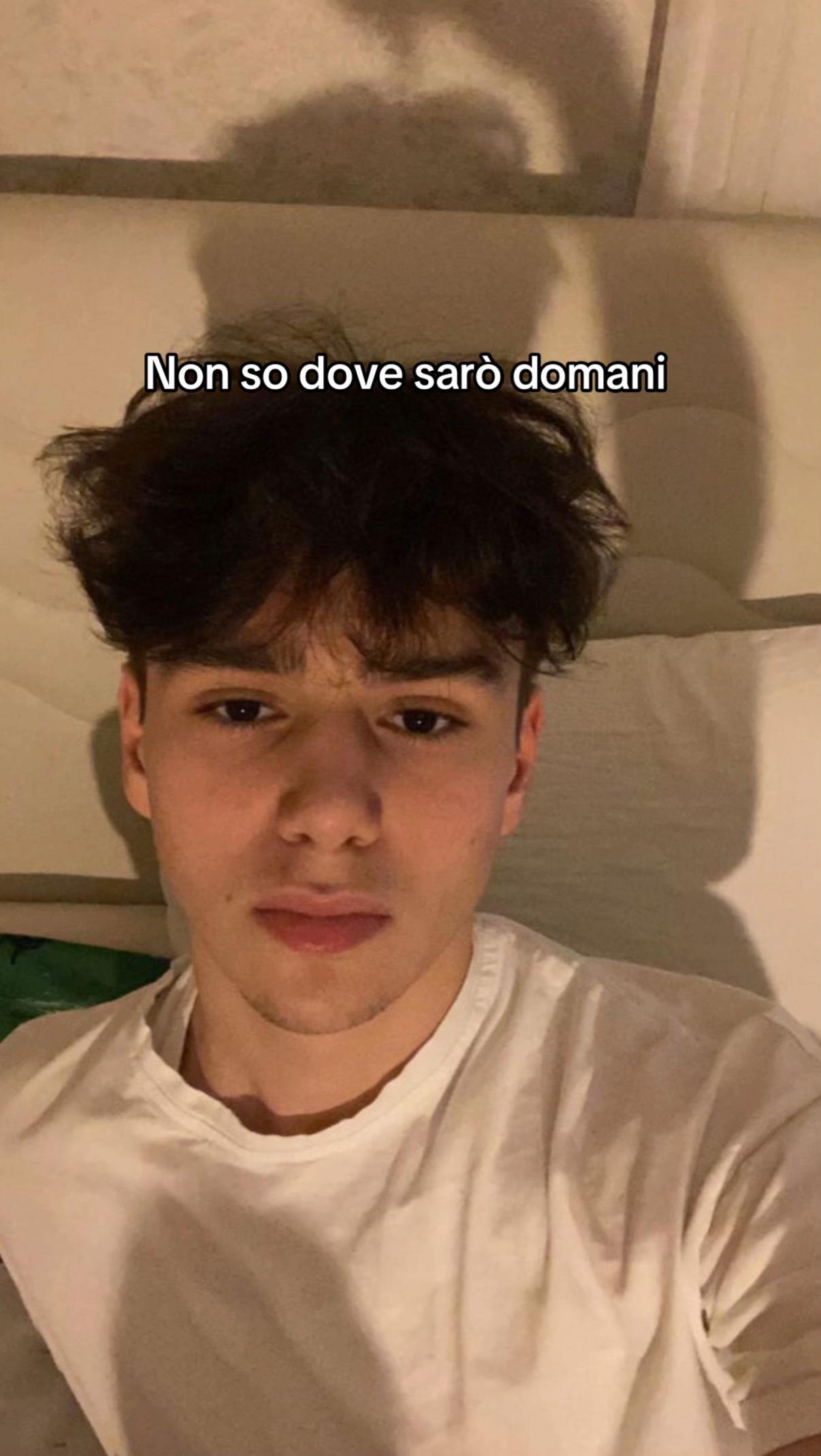 @alfa fan