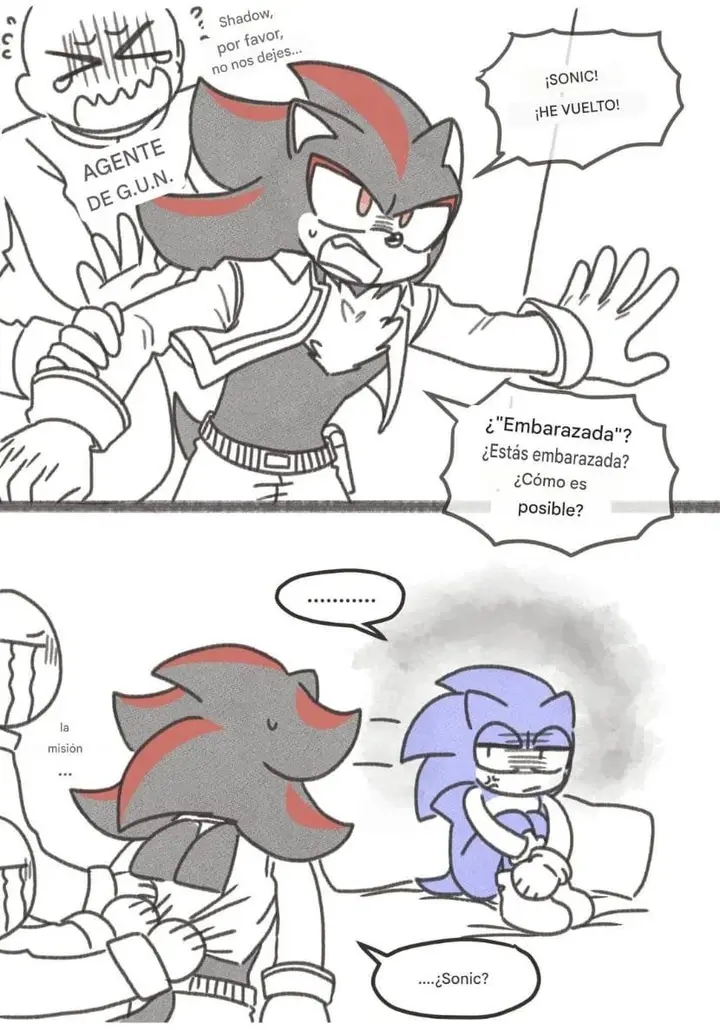 @❤️shadow the hedgehog sonadow?