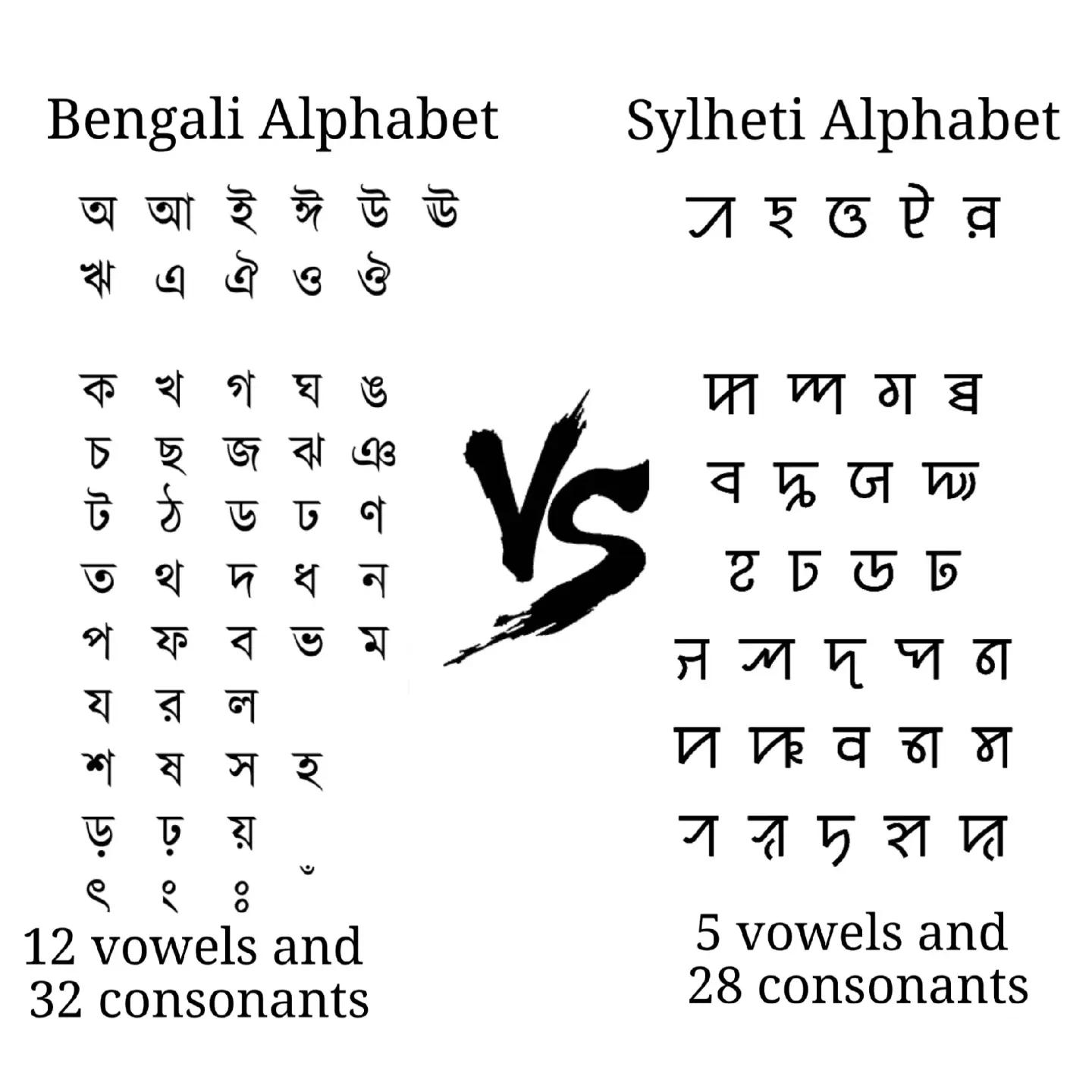 @Sylheti 🇧🇩