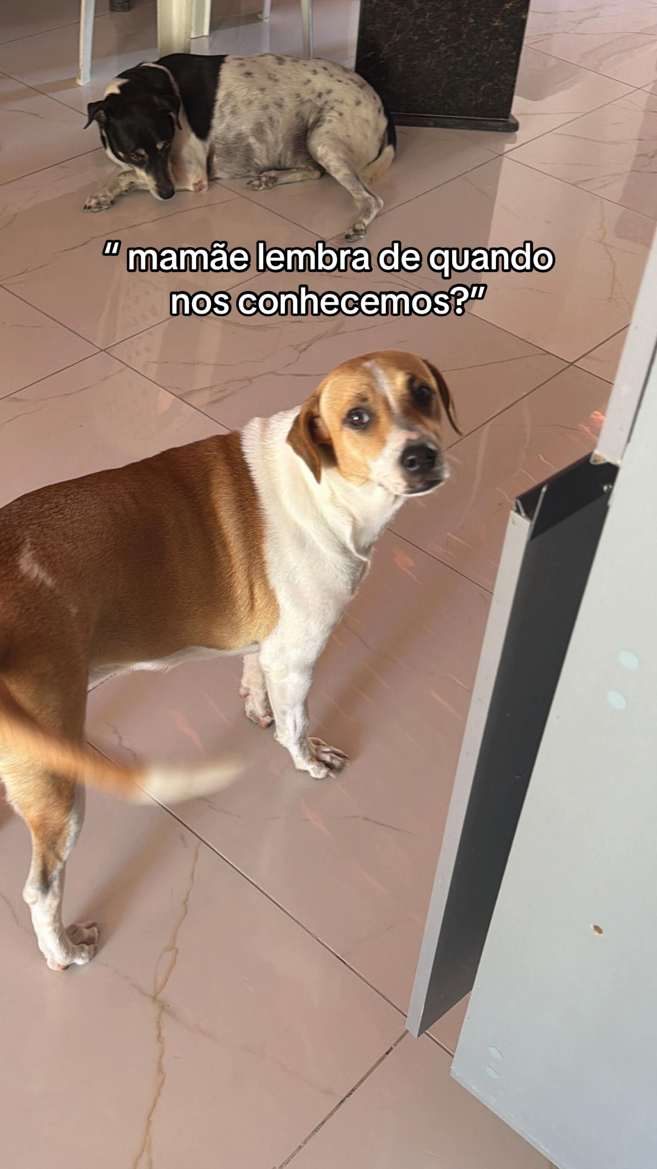 @Rochaagatha