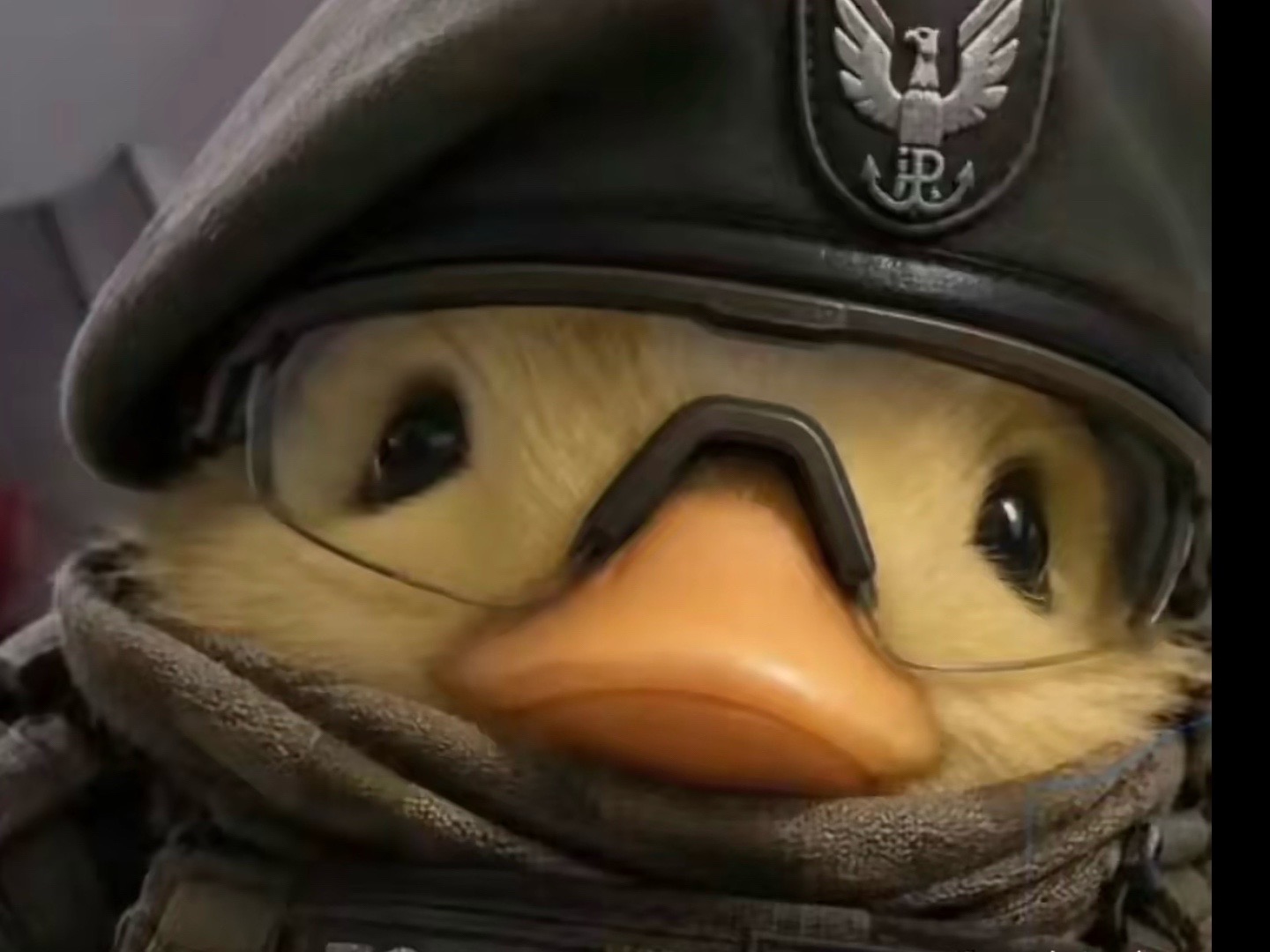 @Duck