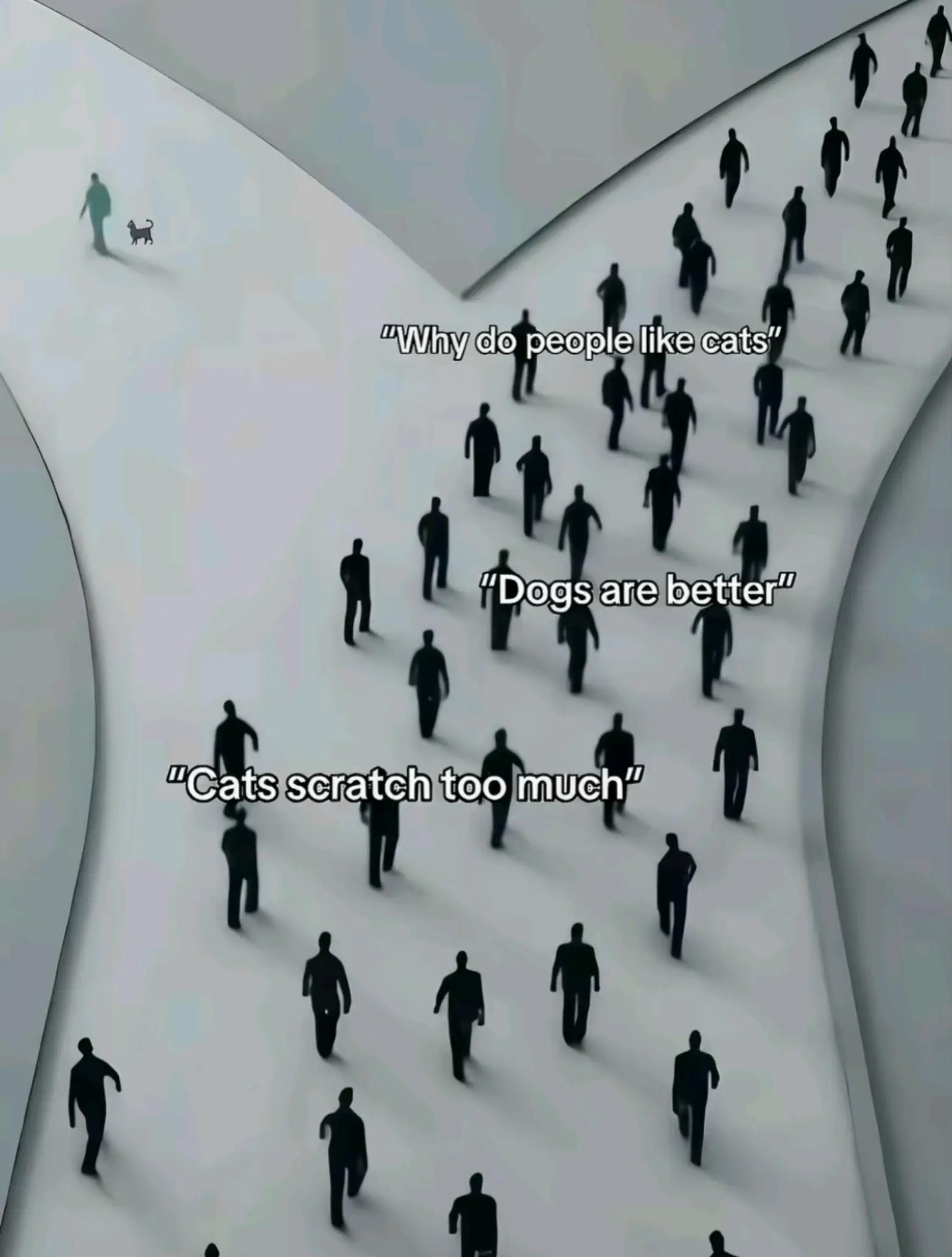@MK¹³ ࣪ ִֶָ☾.