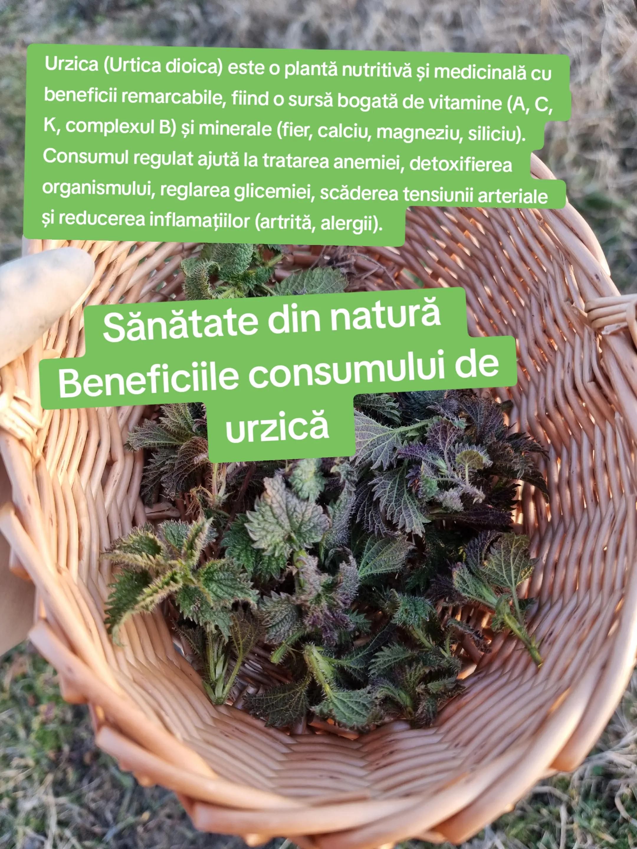 @🍎Din natură & Din tradiție