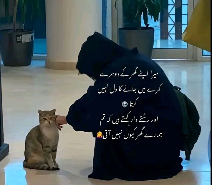 @Zara Malik