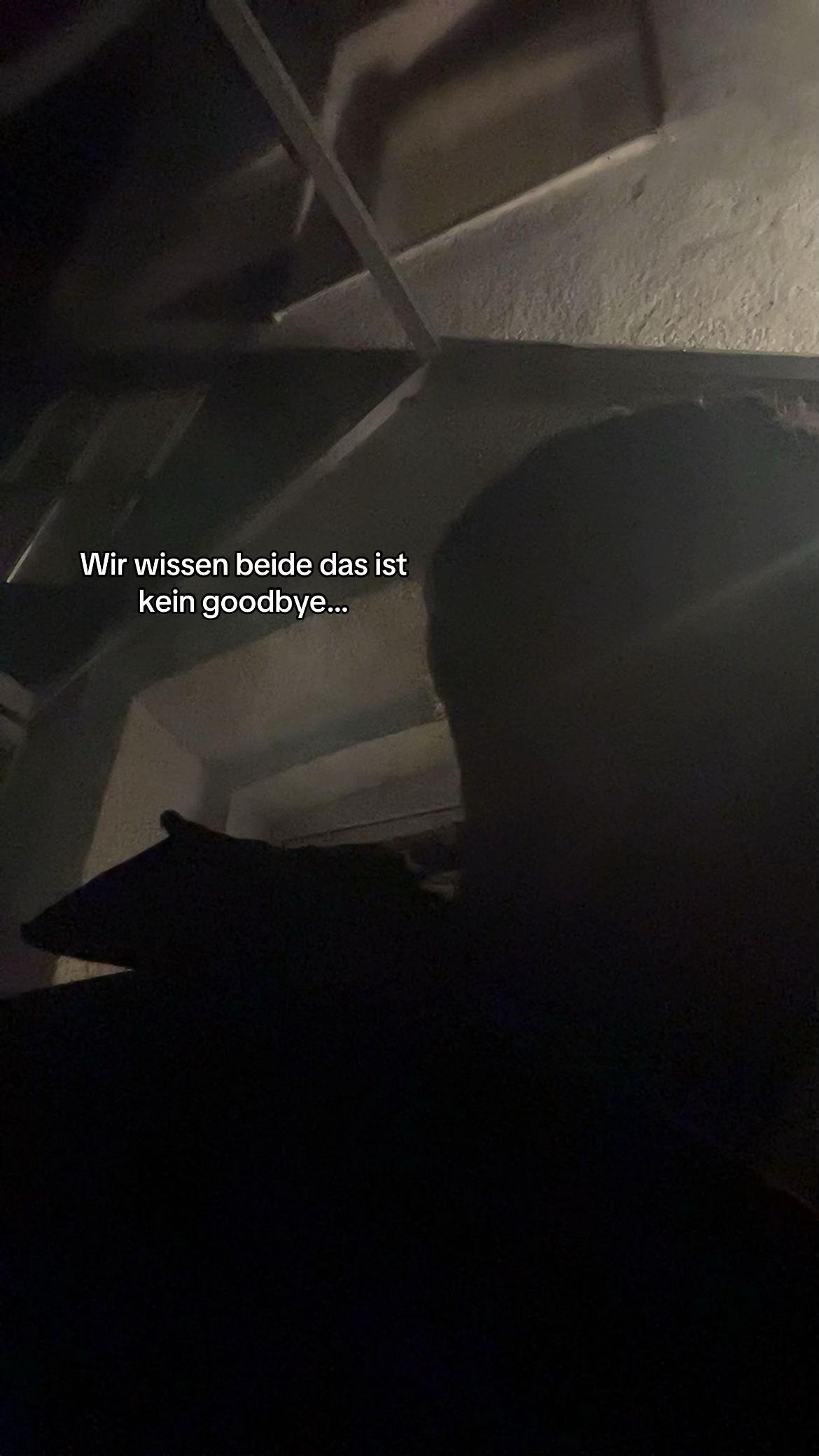 @Some_bodyx_