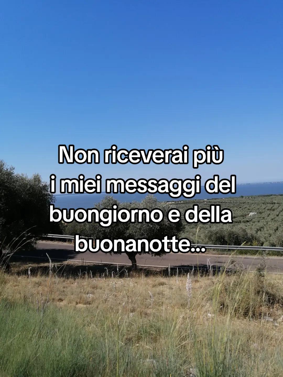 @Argeta Brozi
