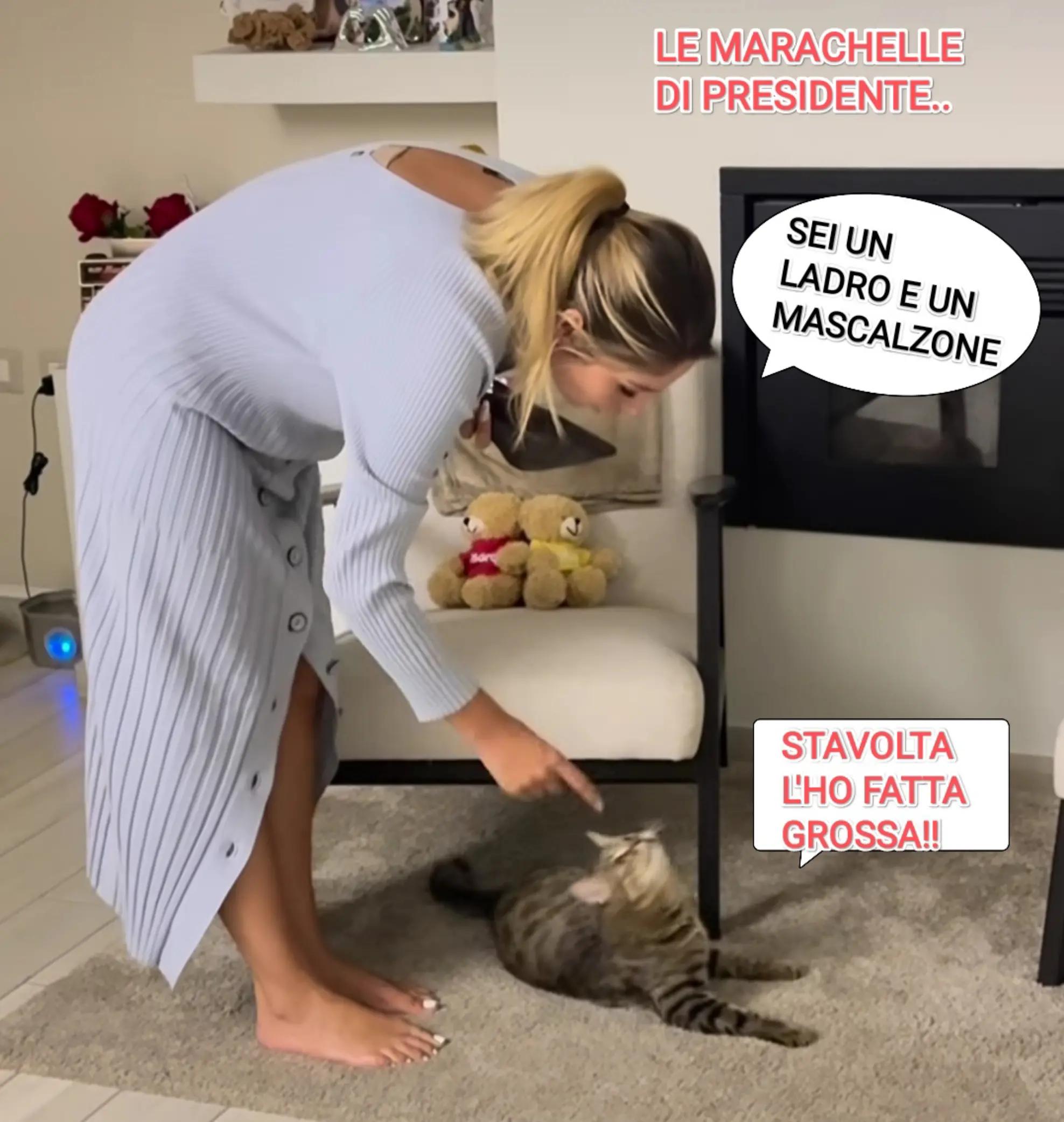 @patty61