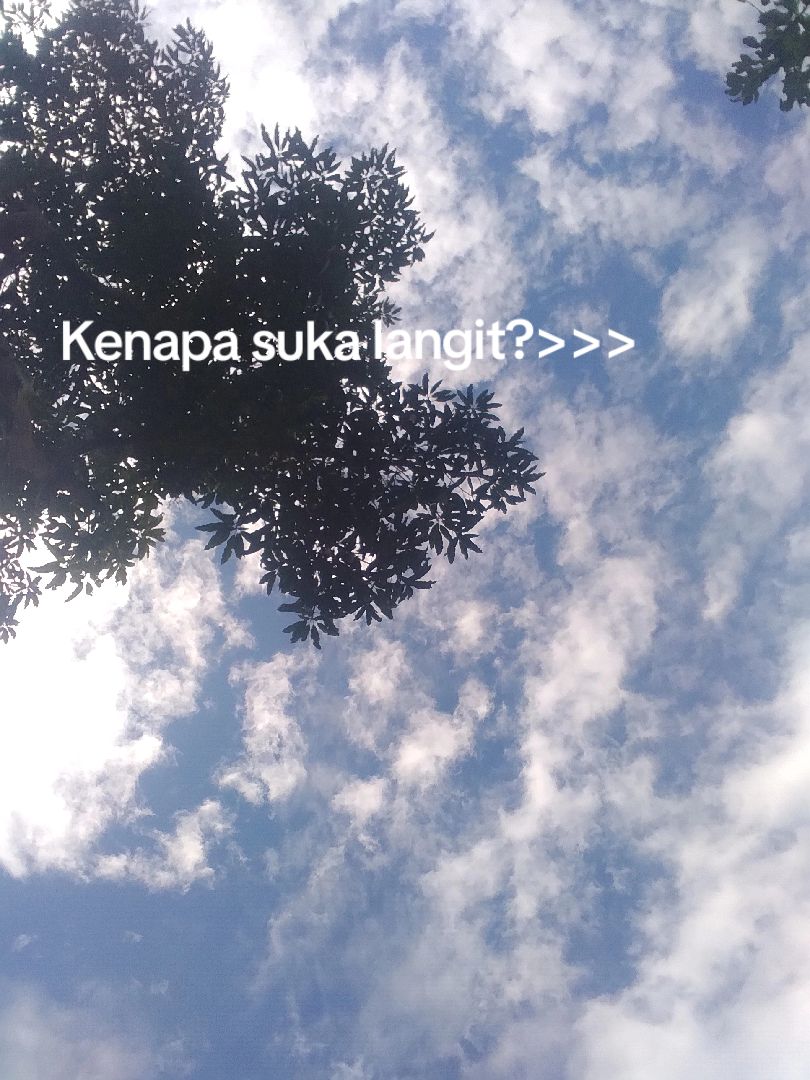 @Mitha Endo