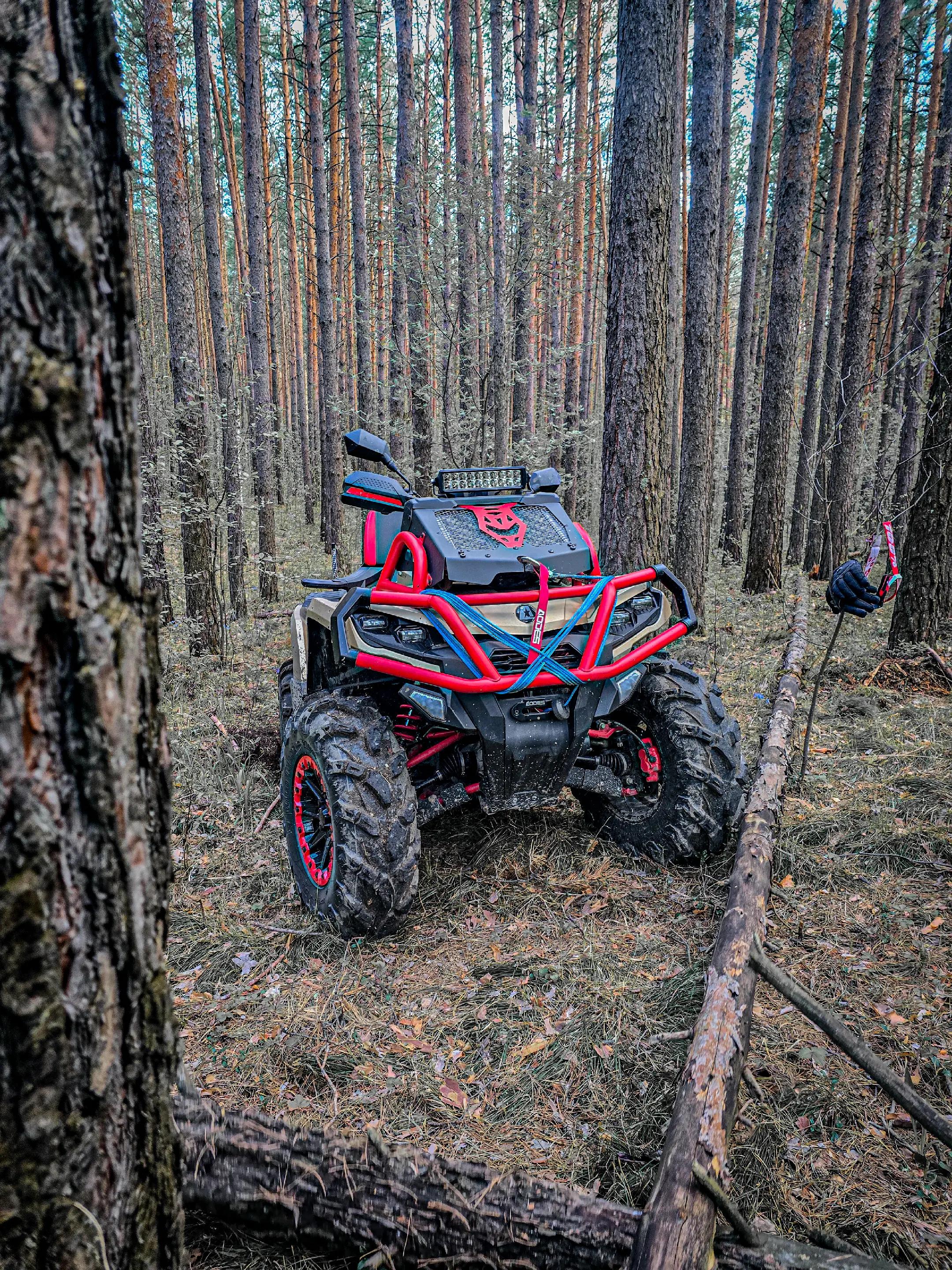 @🚧ТГК: Mud_Squad_54🚧