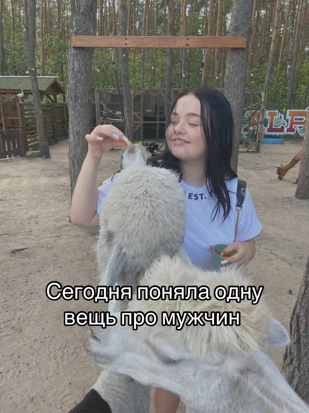 @foksalsmt5p