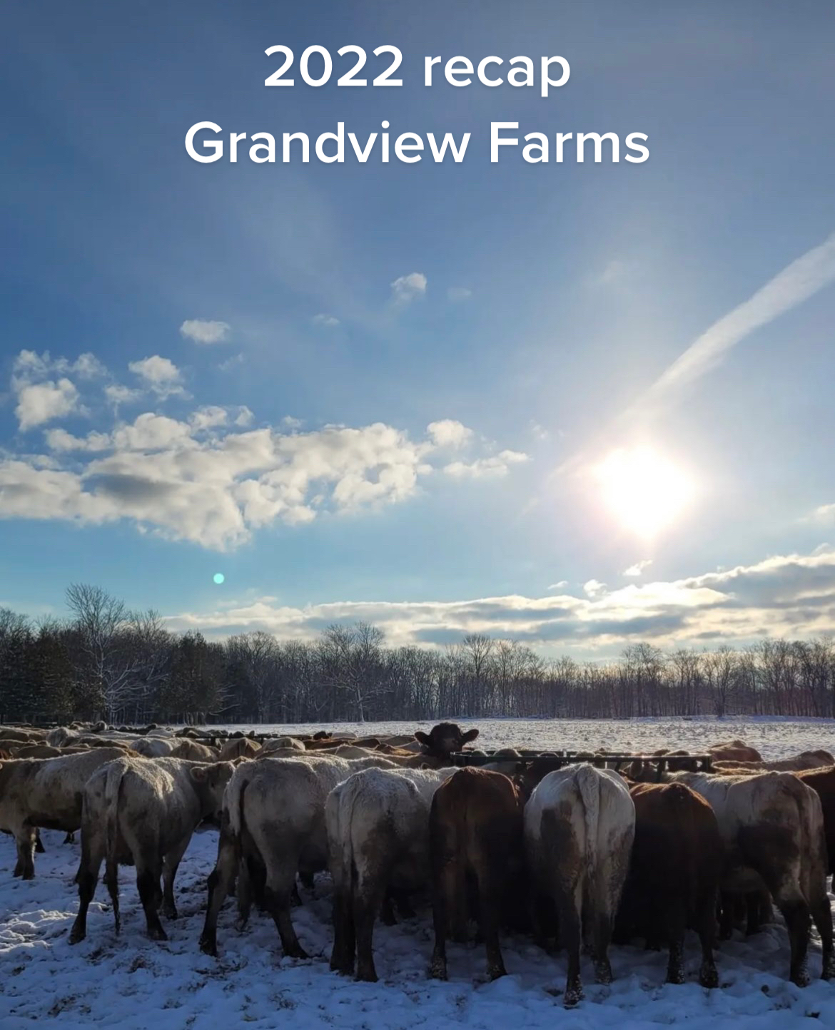 @grandview.manitoulin