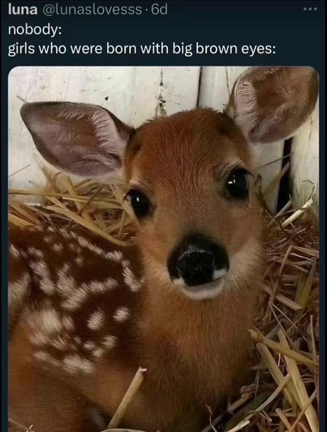 @Saruz ☆