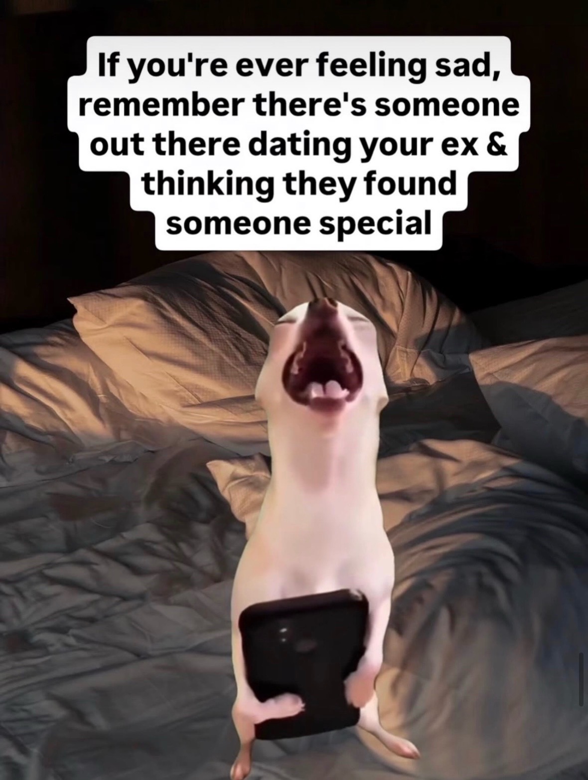 @mysteryladysmile1