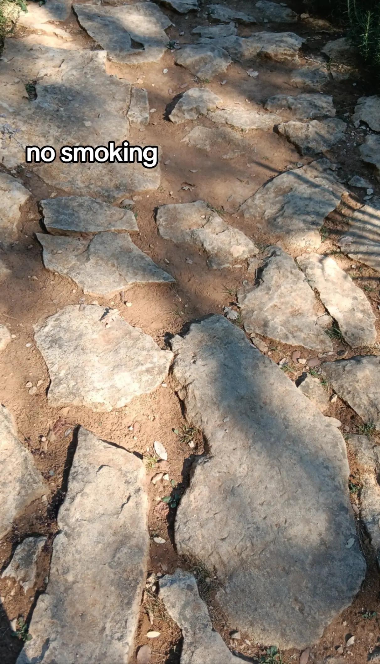 @💭