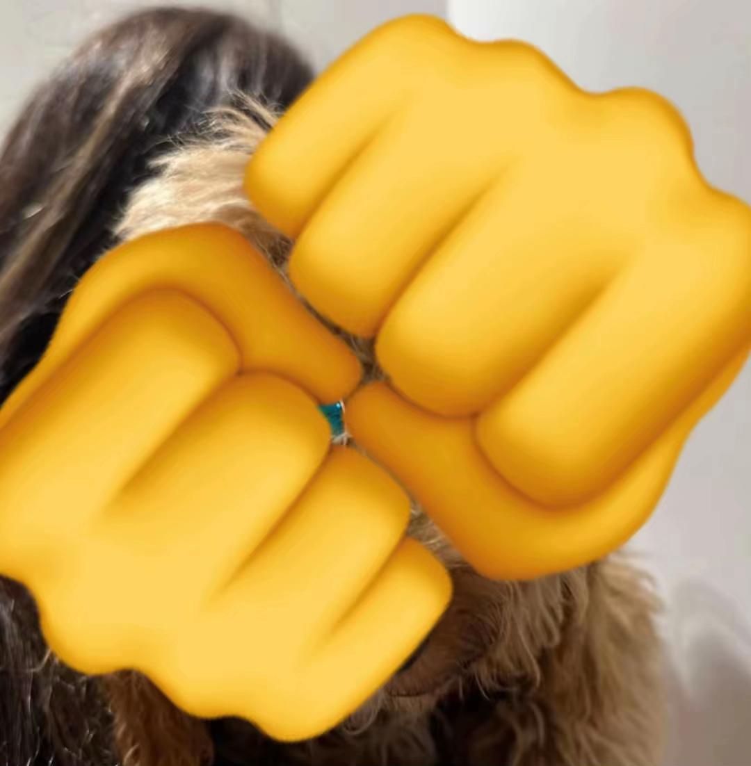@𝐋