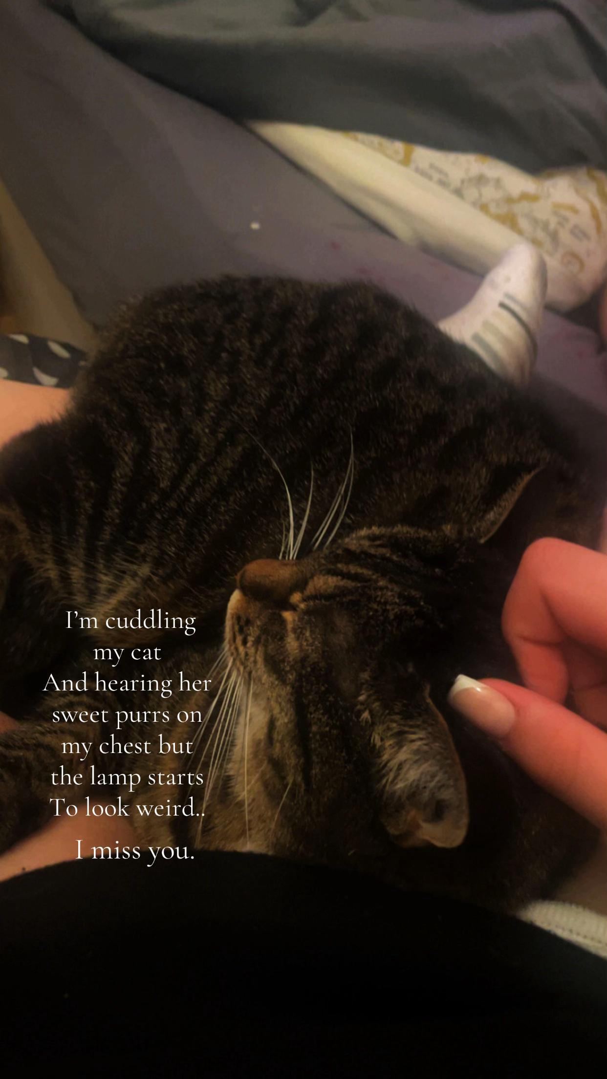 @๐ค๐ค