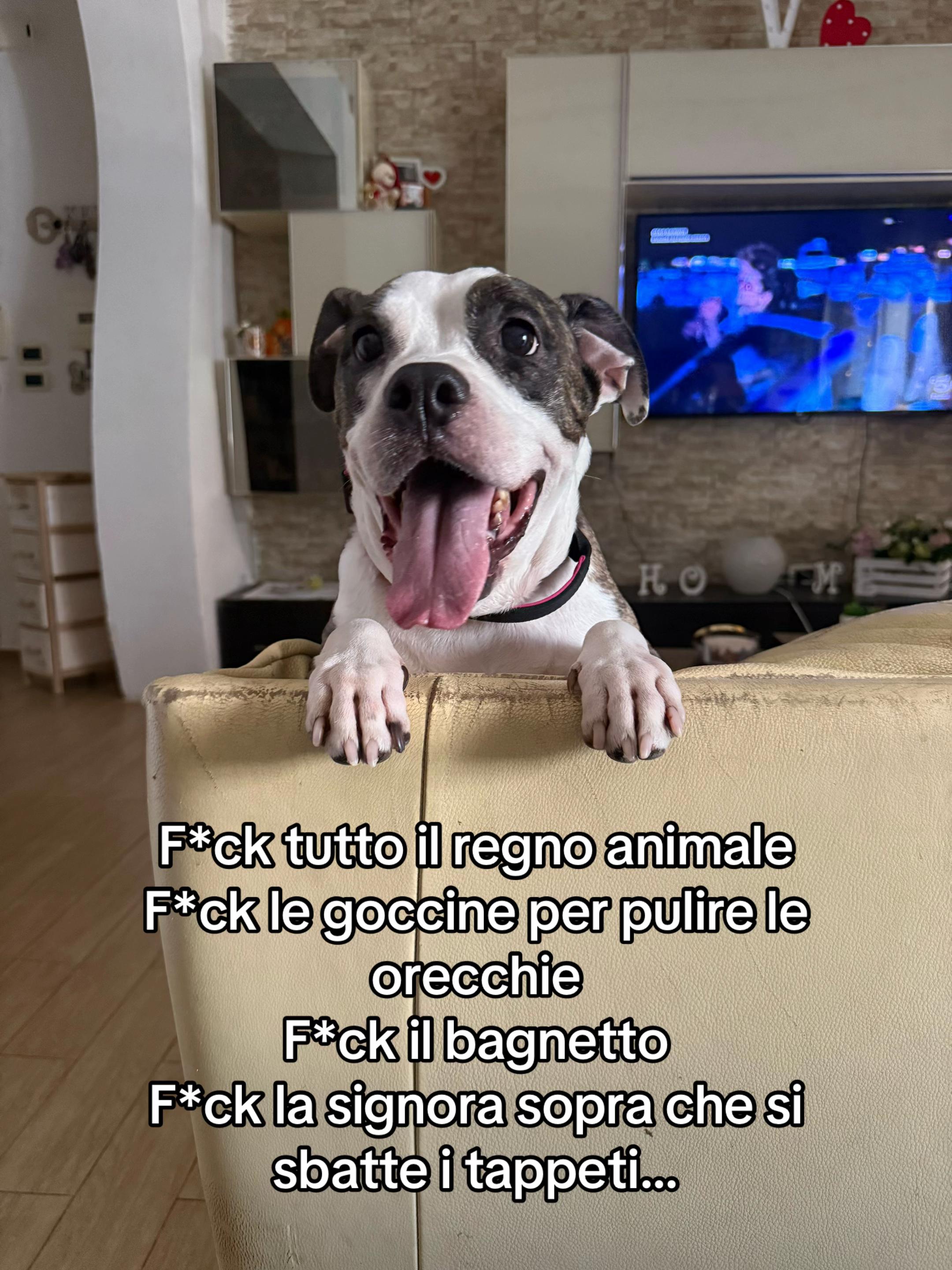 @Vero Nyka