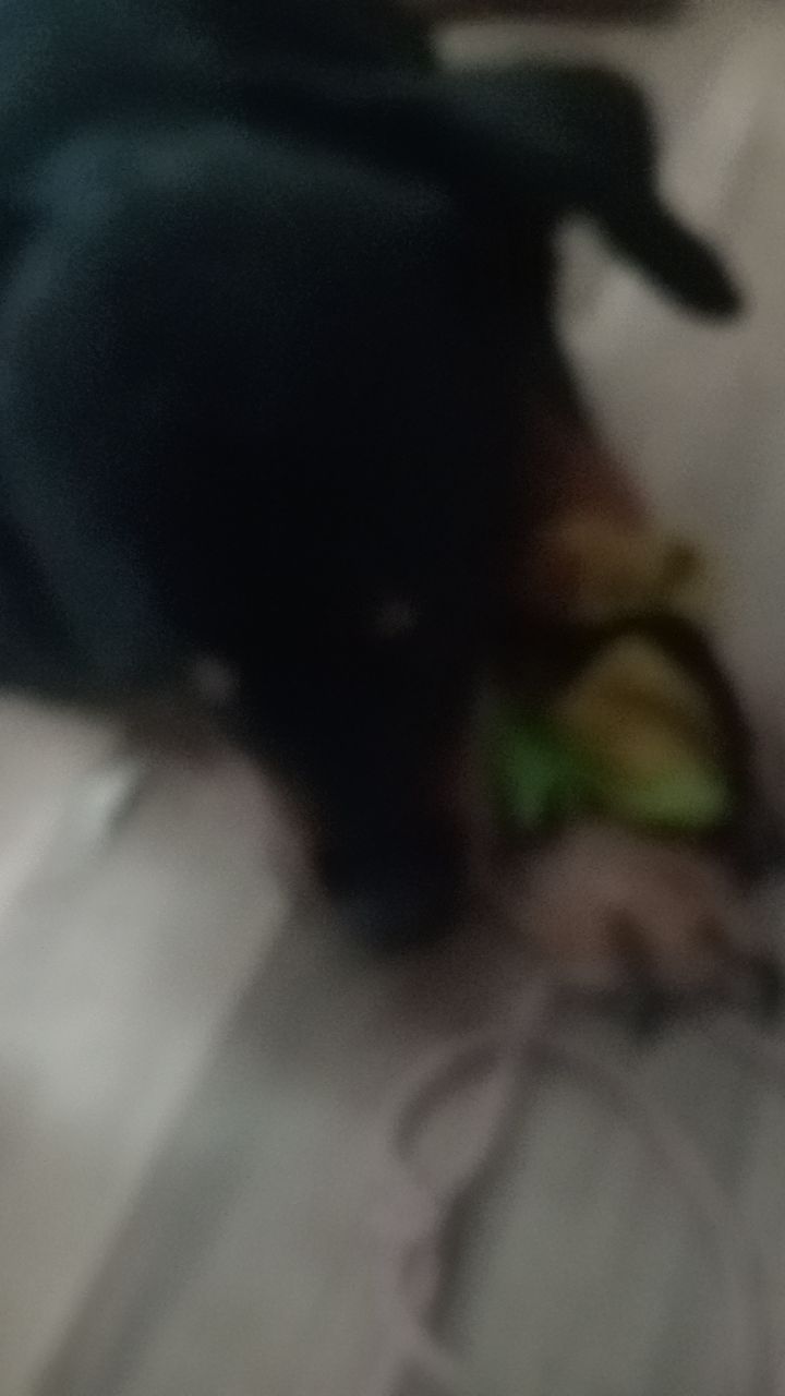 @Emma