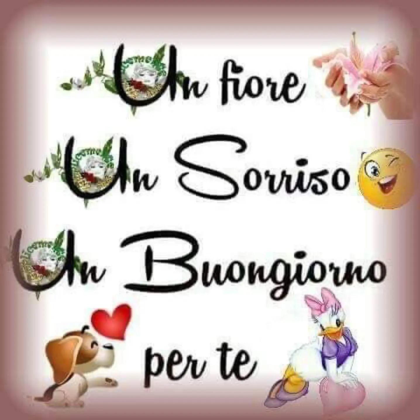 @lella