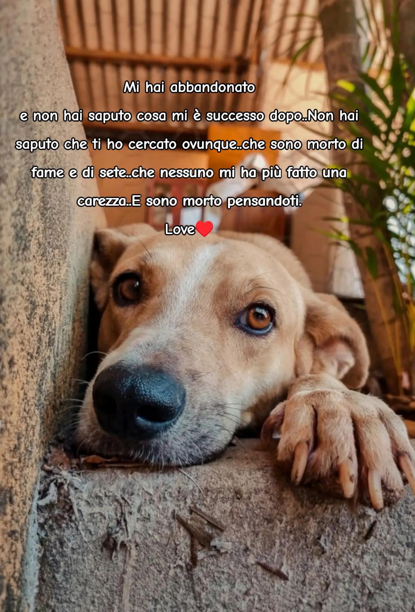 @Rossana♥️Billy♥️ Léon ♥️