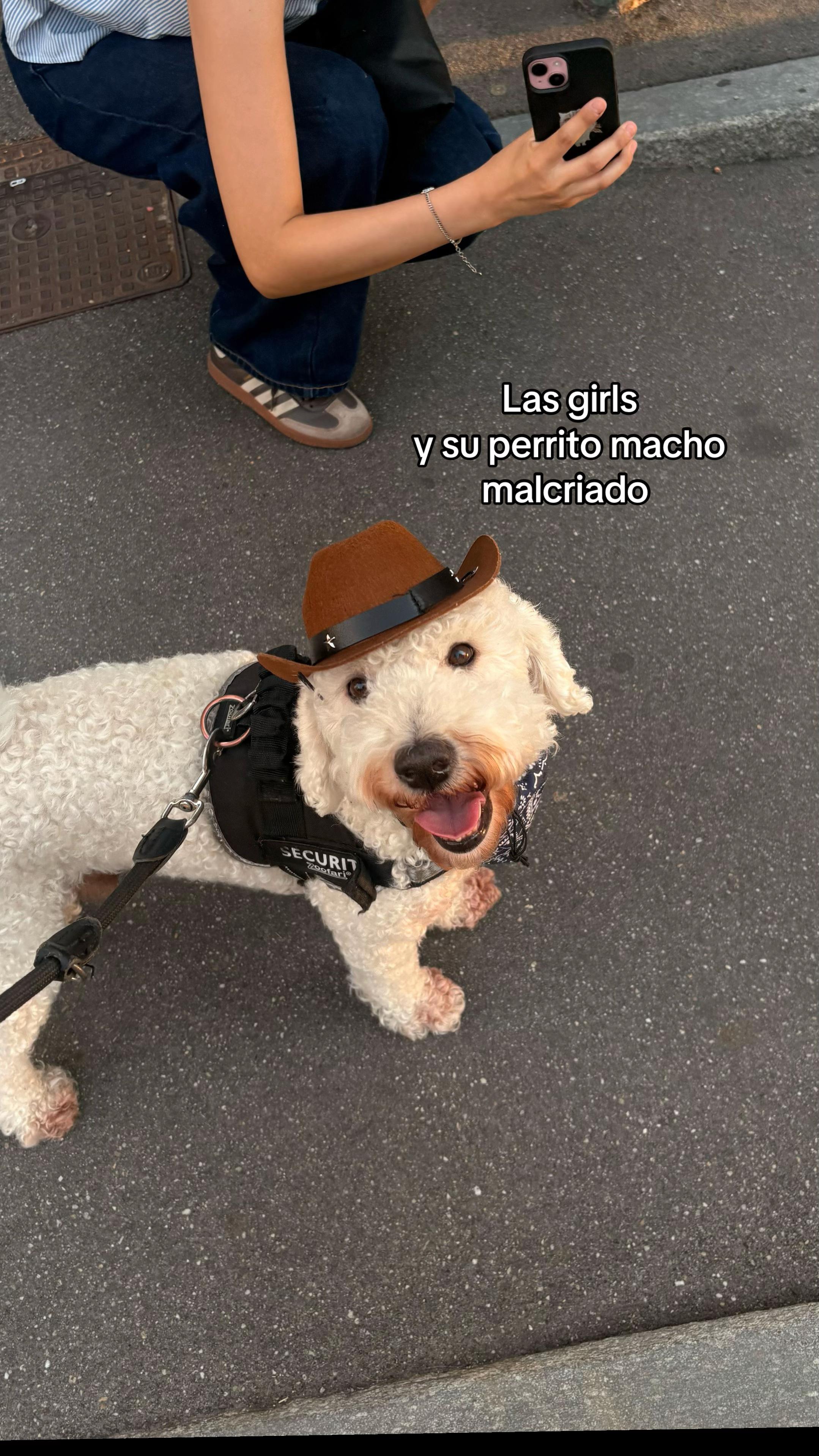 @Pamela León