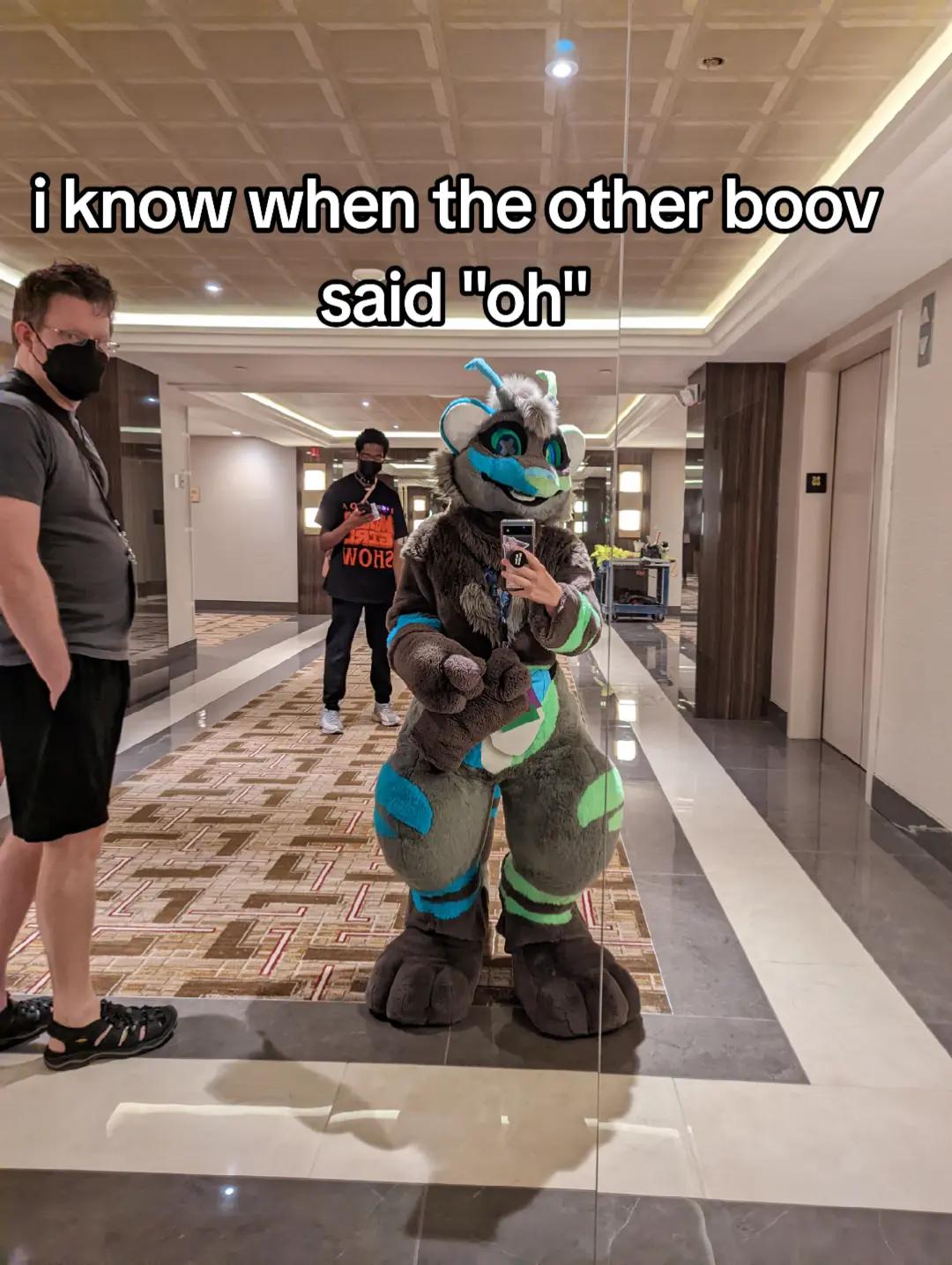 @Nexa Ferret