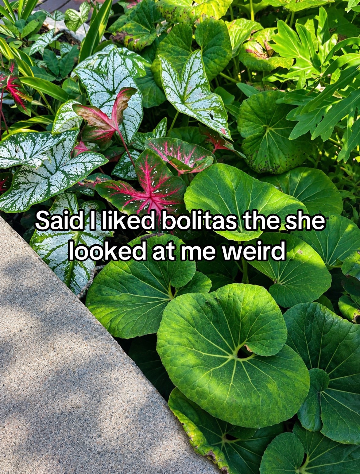 @Iloveyou