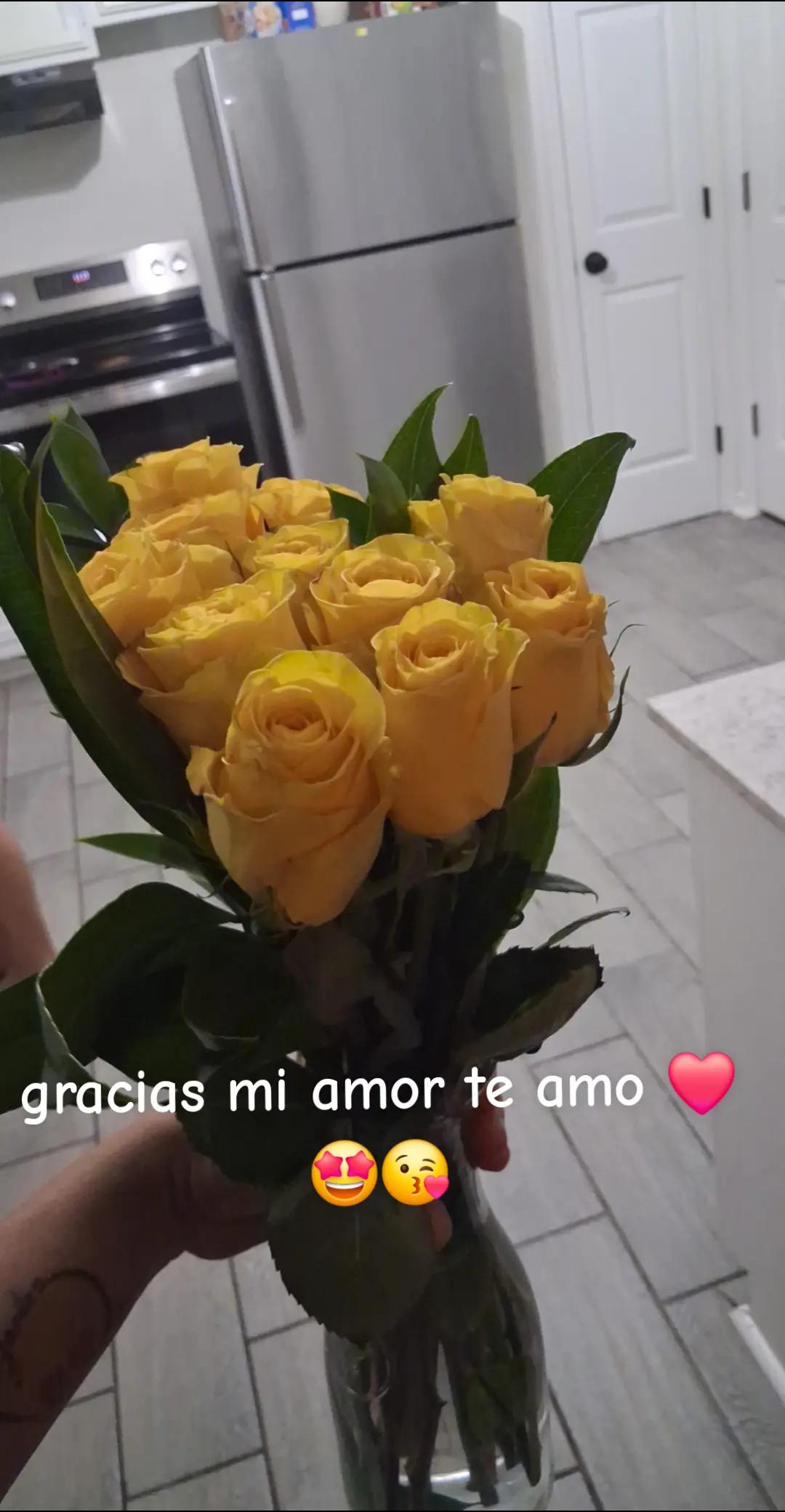 @Ana Andrade