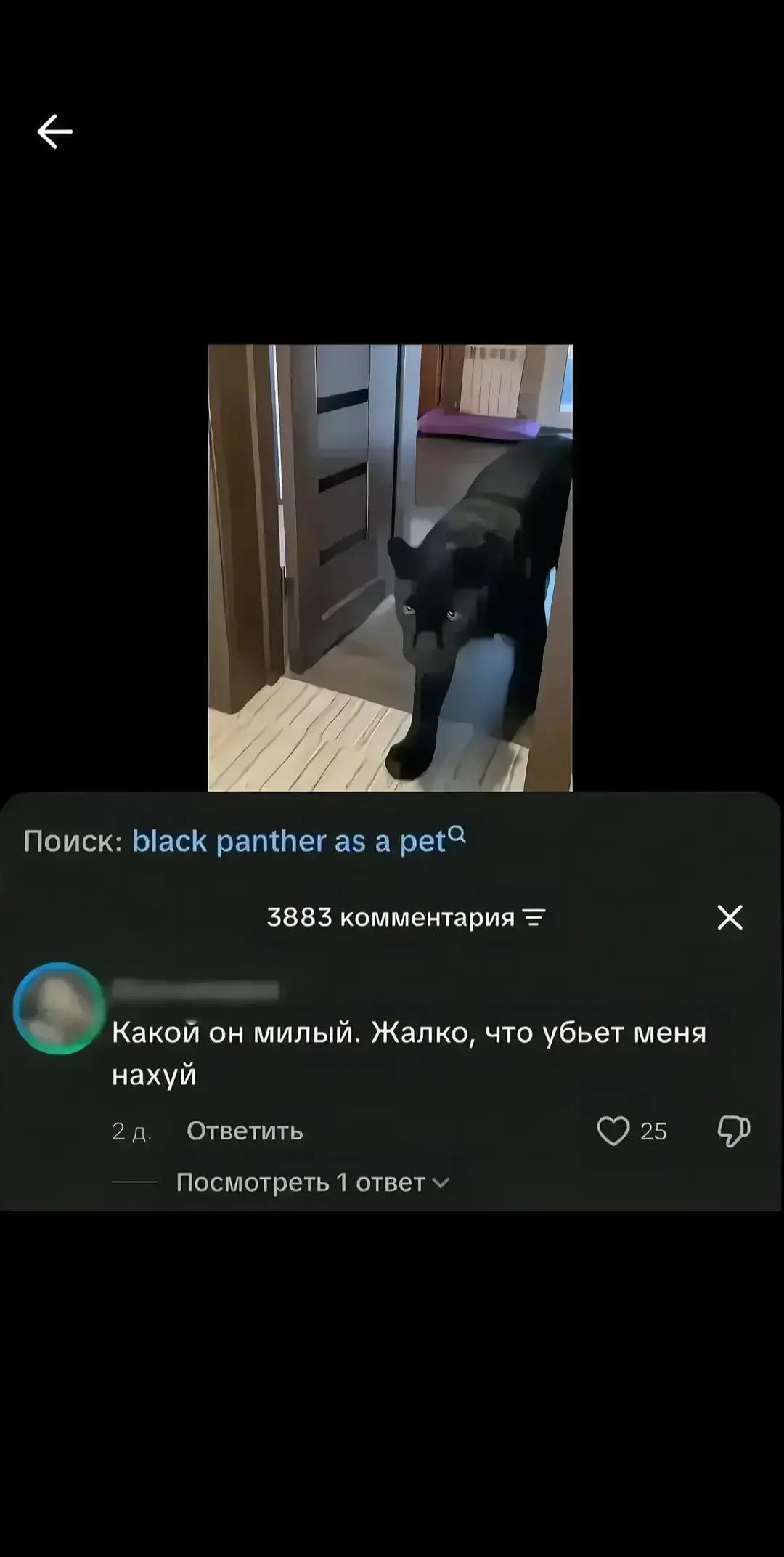 @Cheesbuga