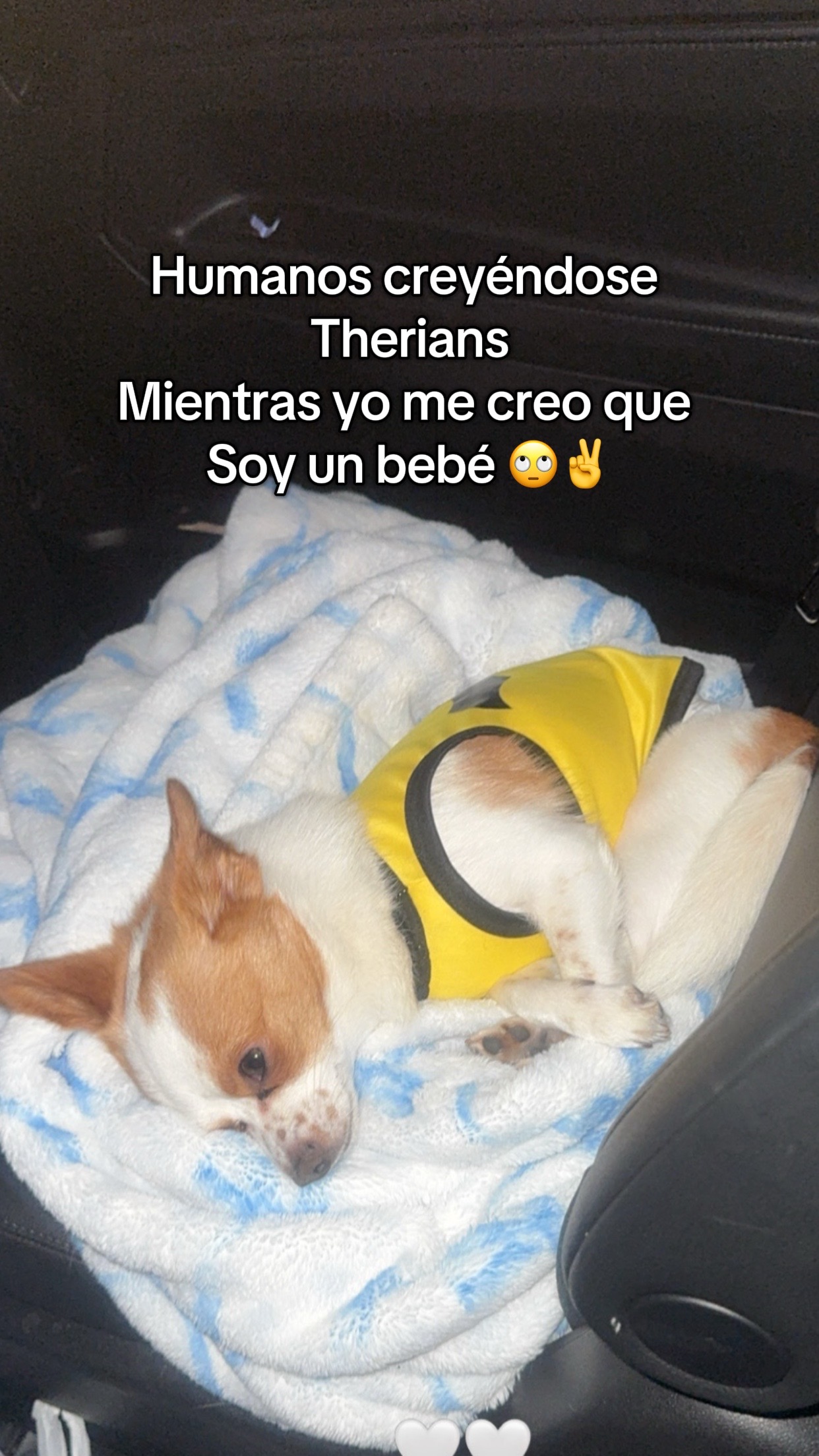 @Lucitania
